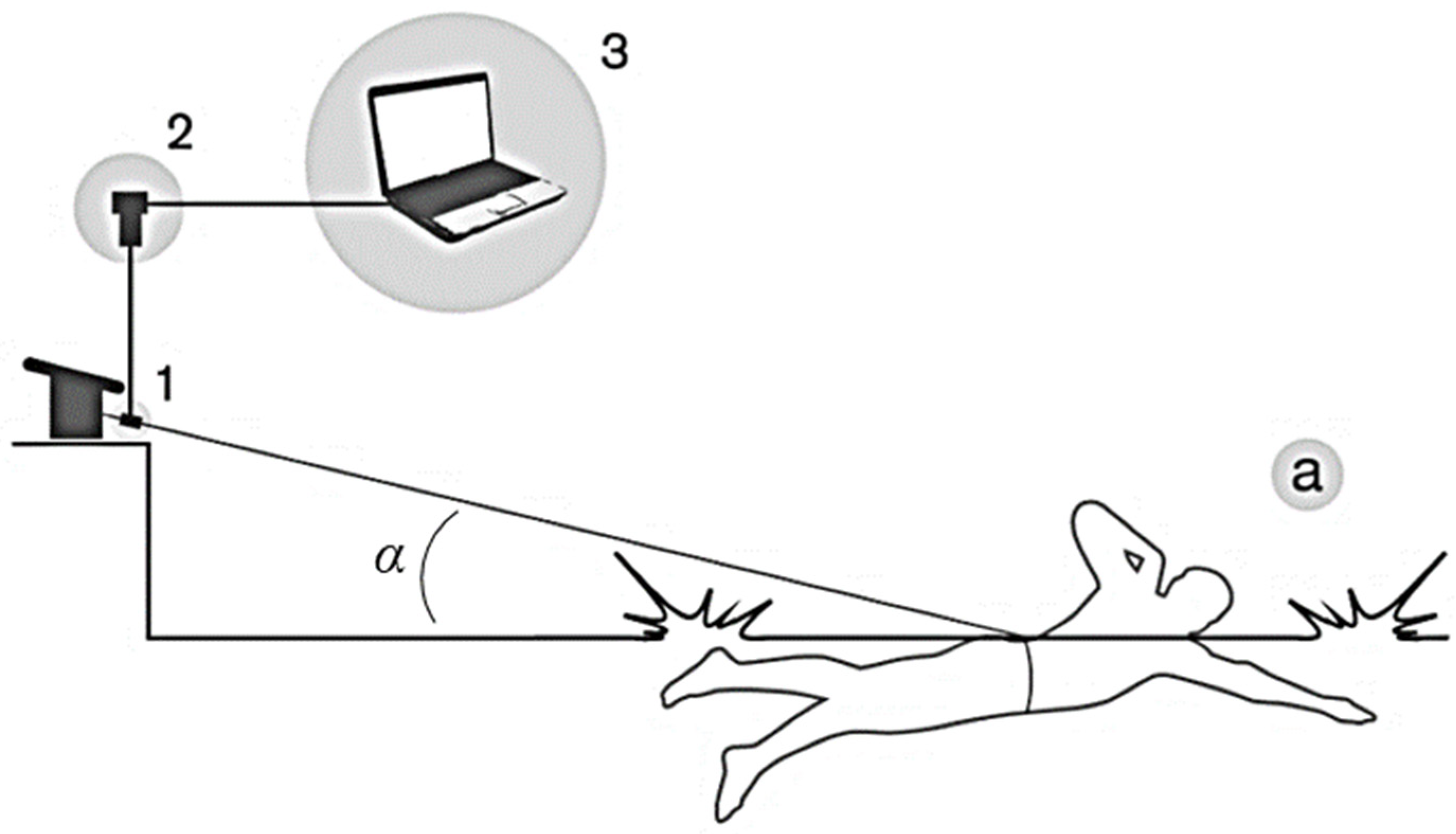 Encyclopedia 04 00067 g001