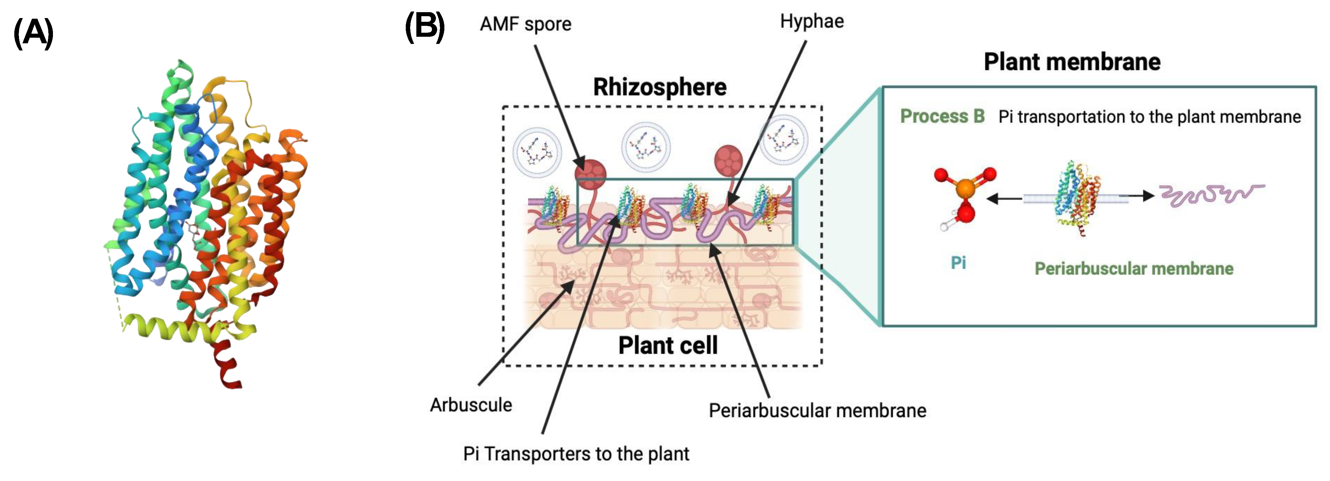 Encyclopedia 04 00077 g007
