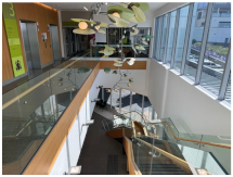 Encyclopedia 05 00002 i019