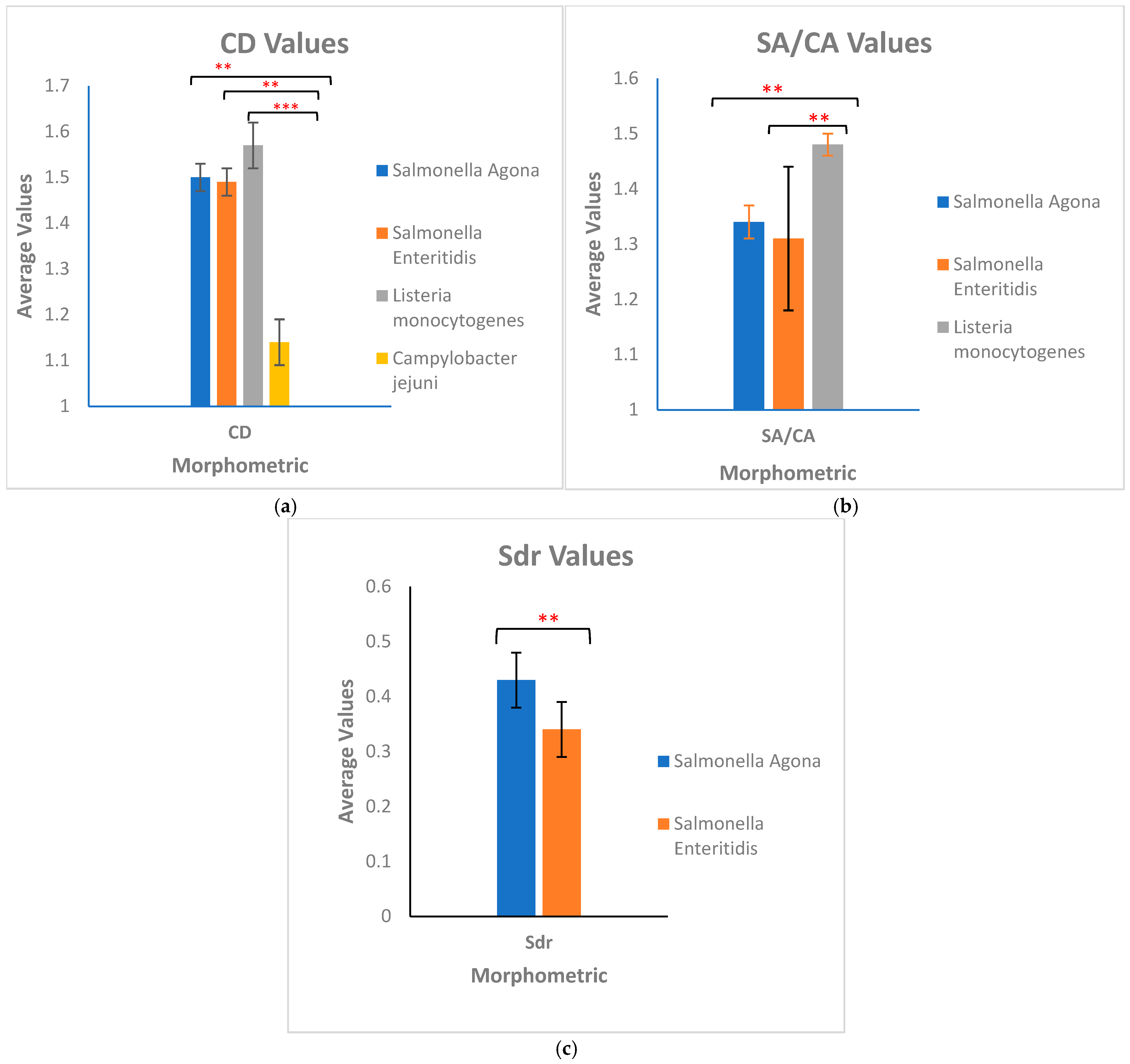 Encyclopedia 05 00047 g001