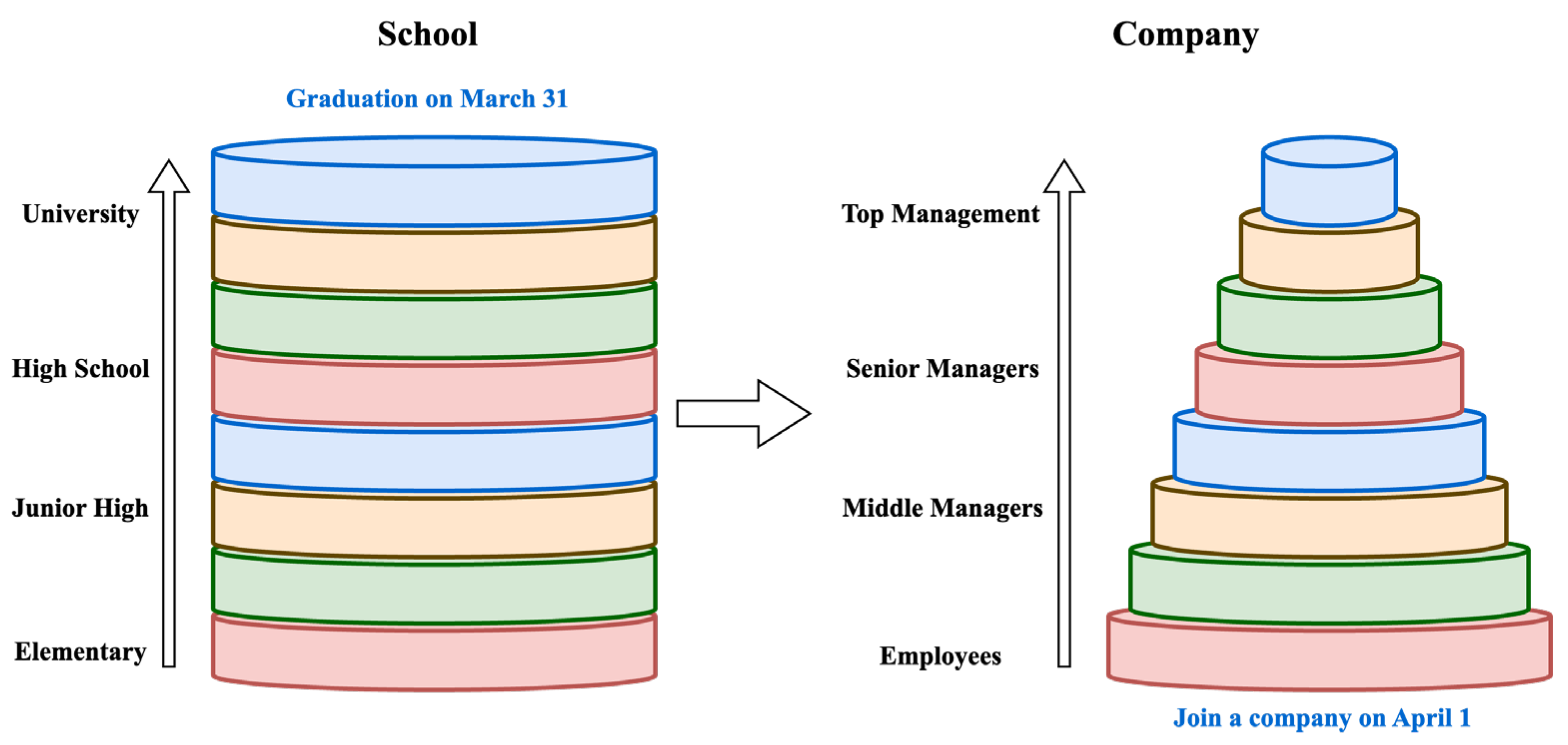 Encyclopedia 05 00049 g002