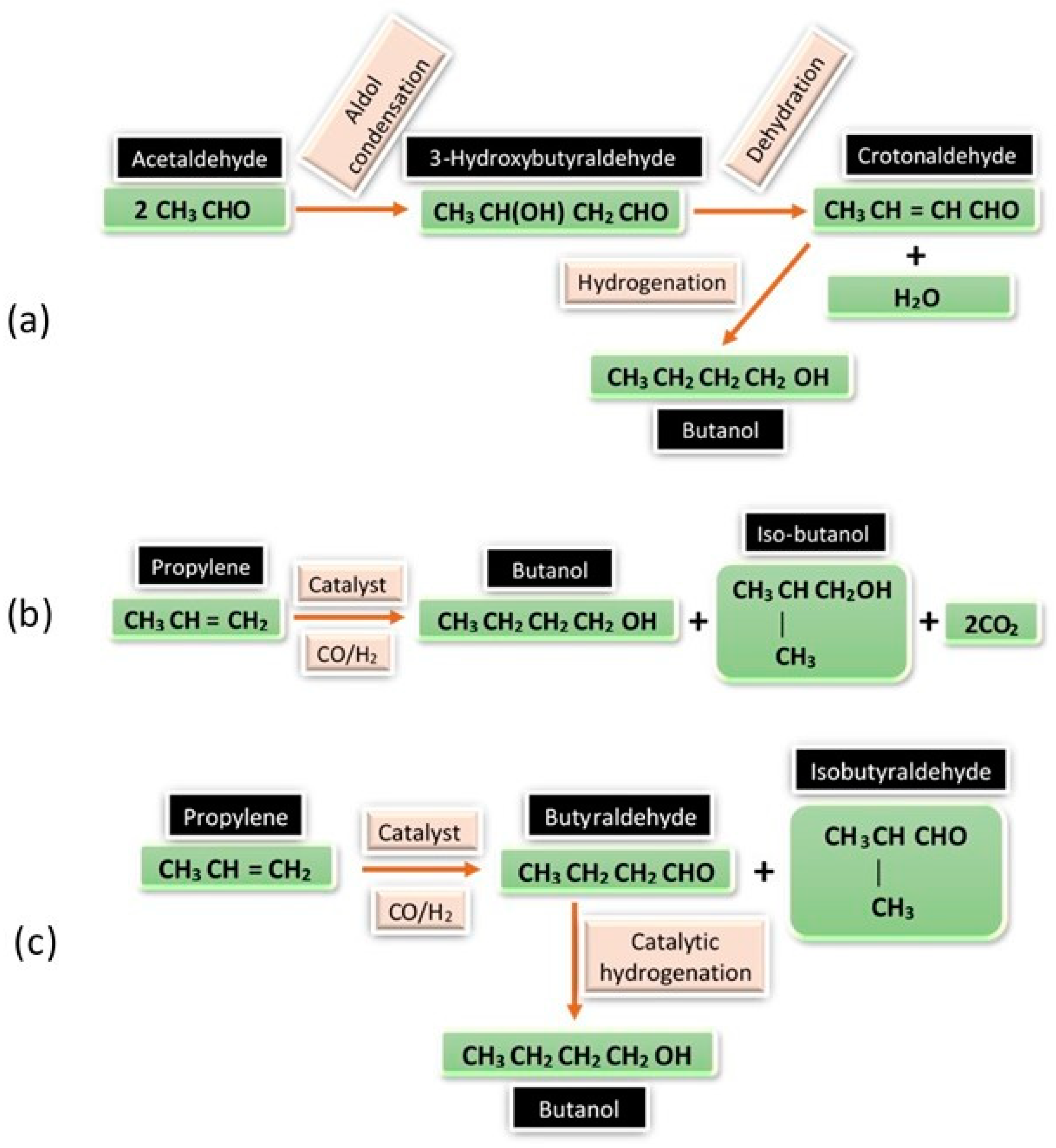 Encyclopedia 05 00050 g003