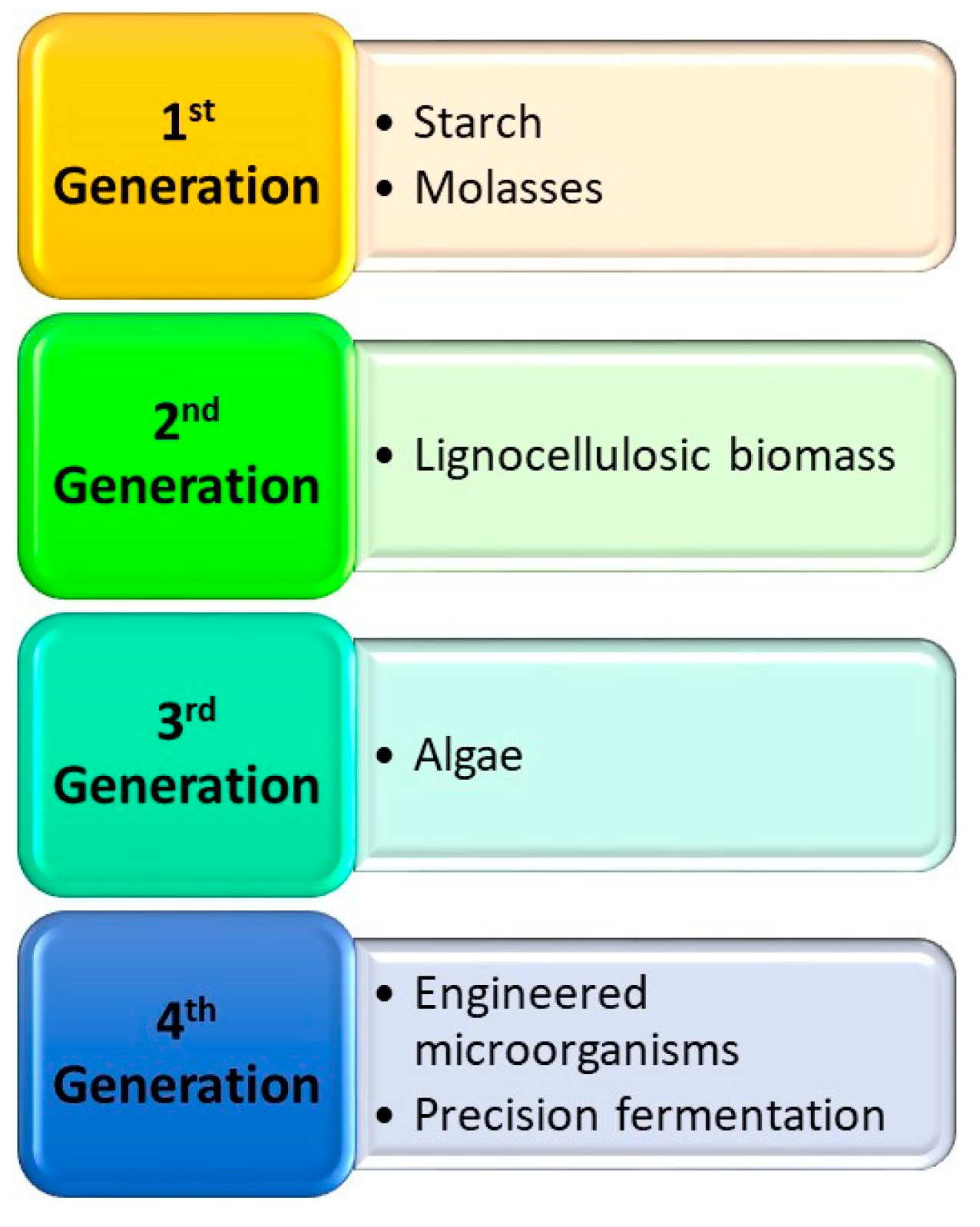 Encyclopedia 05 00050 g005