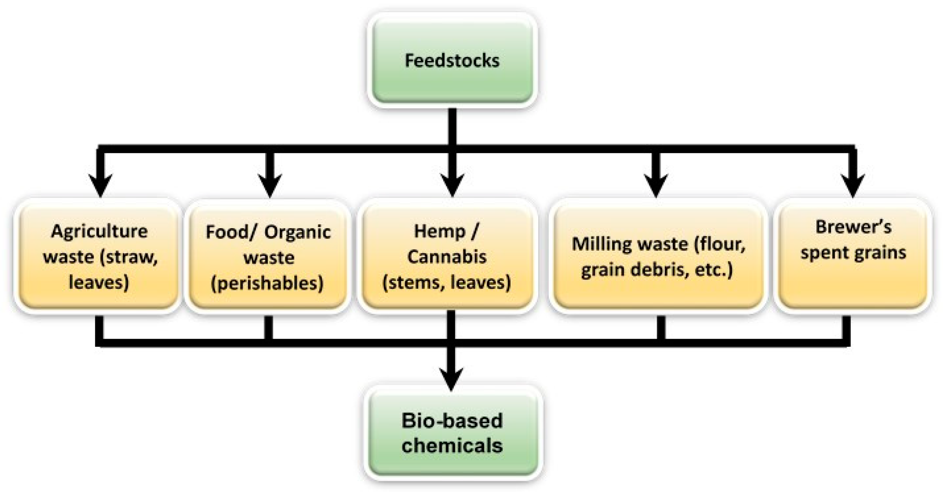 Encyclopedia 05 00050 g006