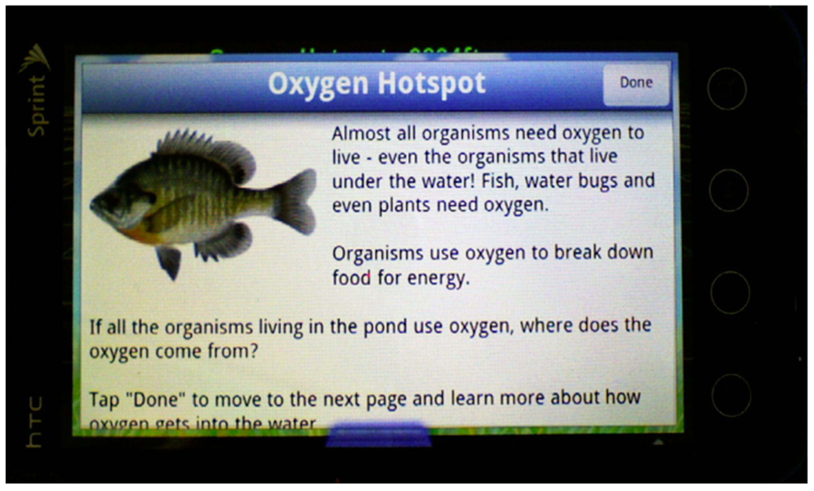 Encyclopedia 05 00054 g011