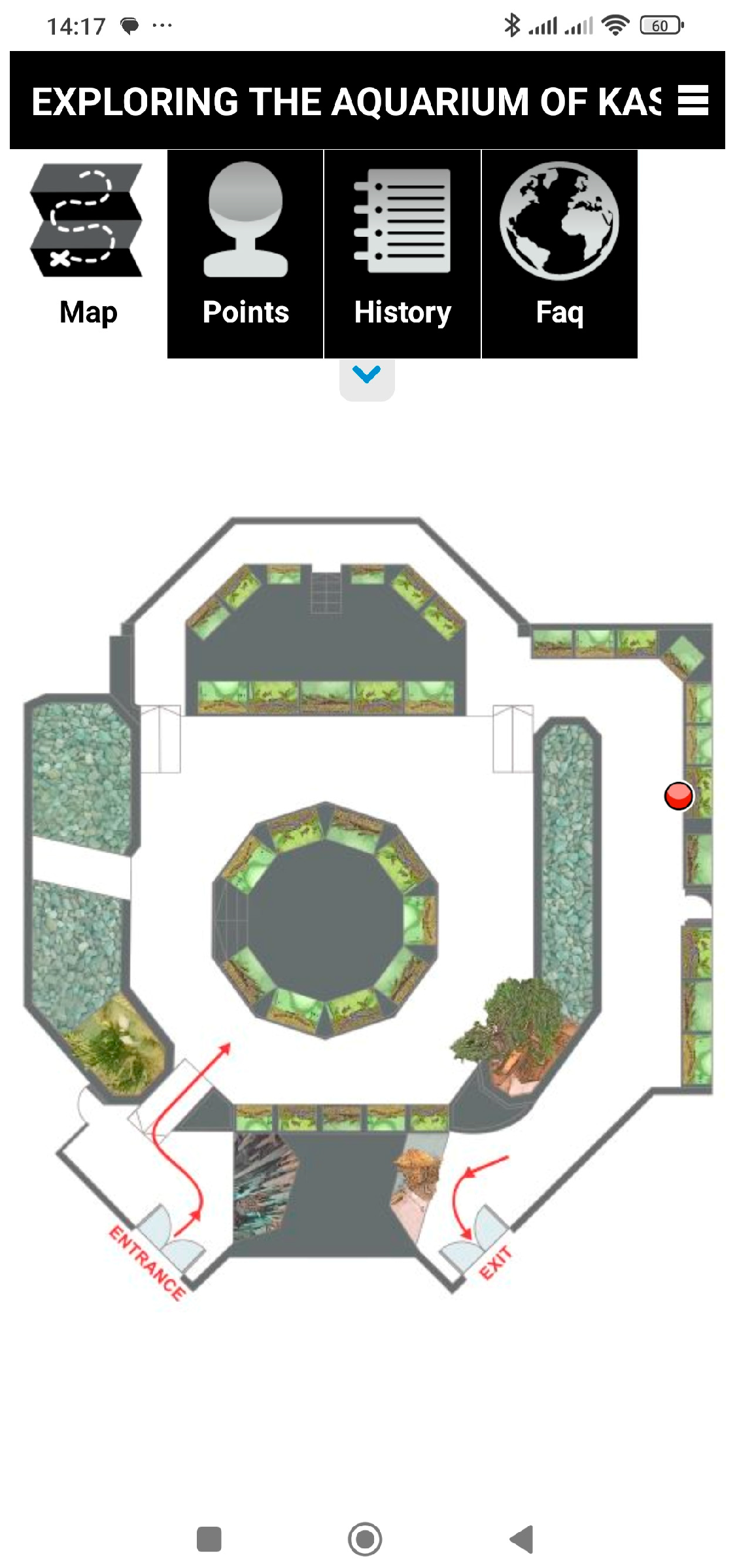 Encyclopedia 05 00054 g013