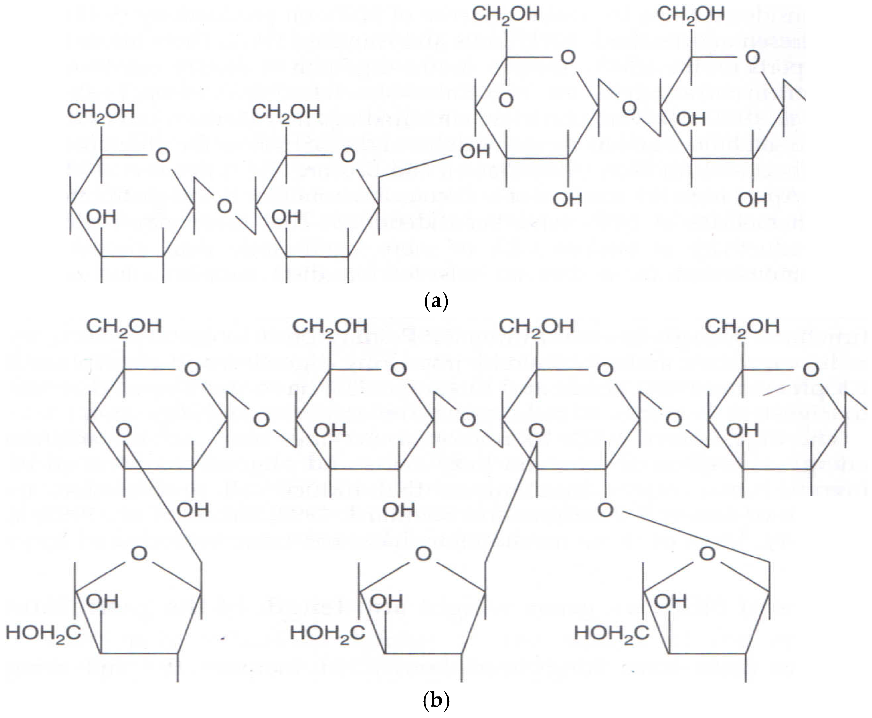 Encyclopedia 05 00063 g001