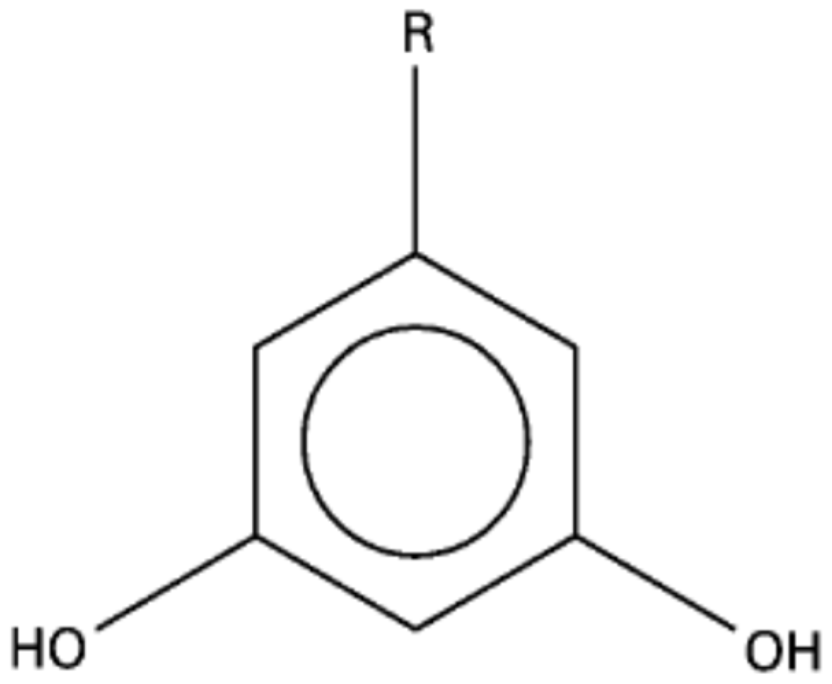 Encyclopedia 05 00063 g002