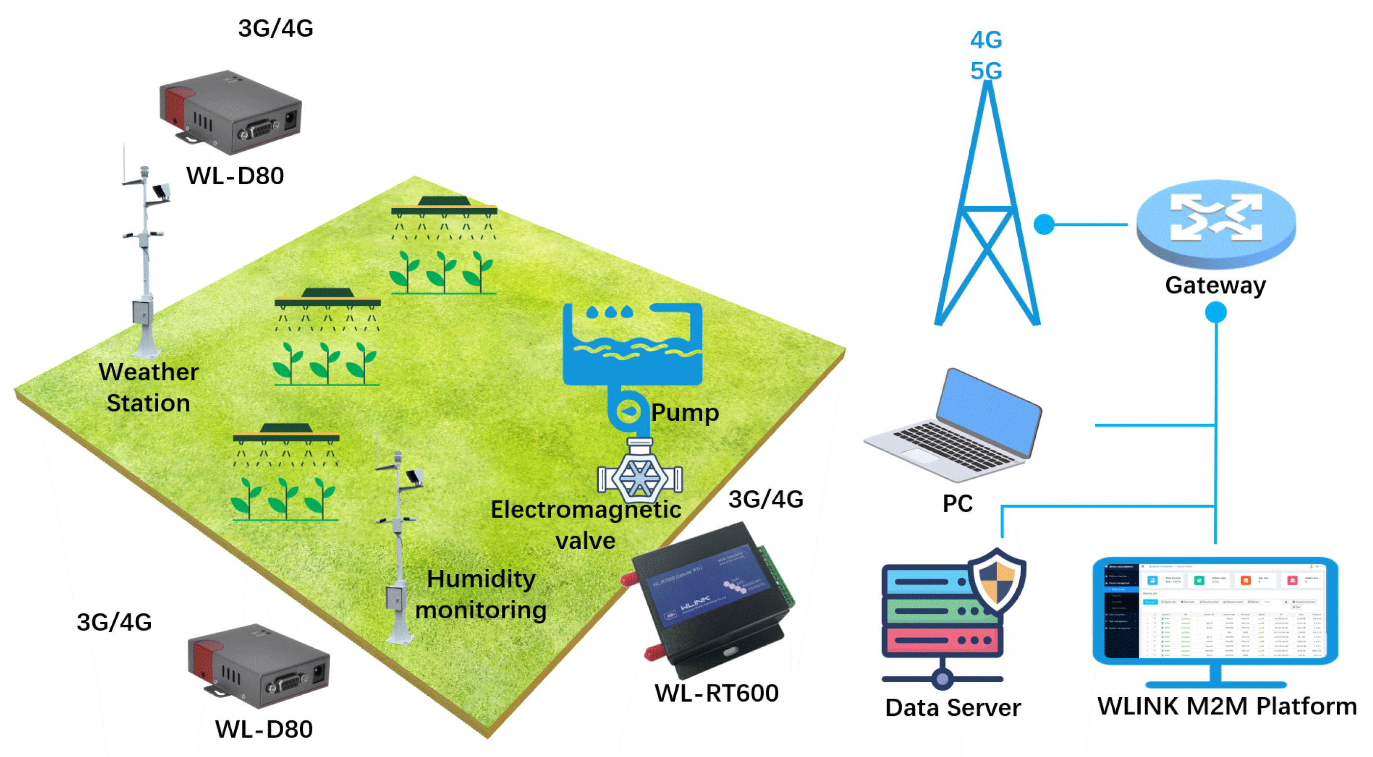 Encyclopedia 05 00067 g004