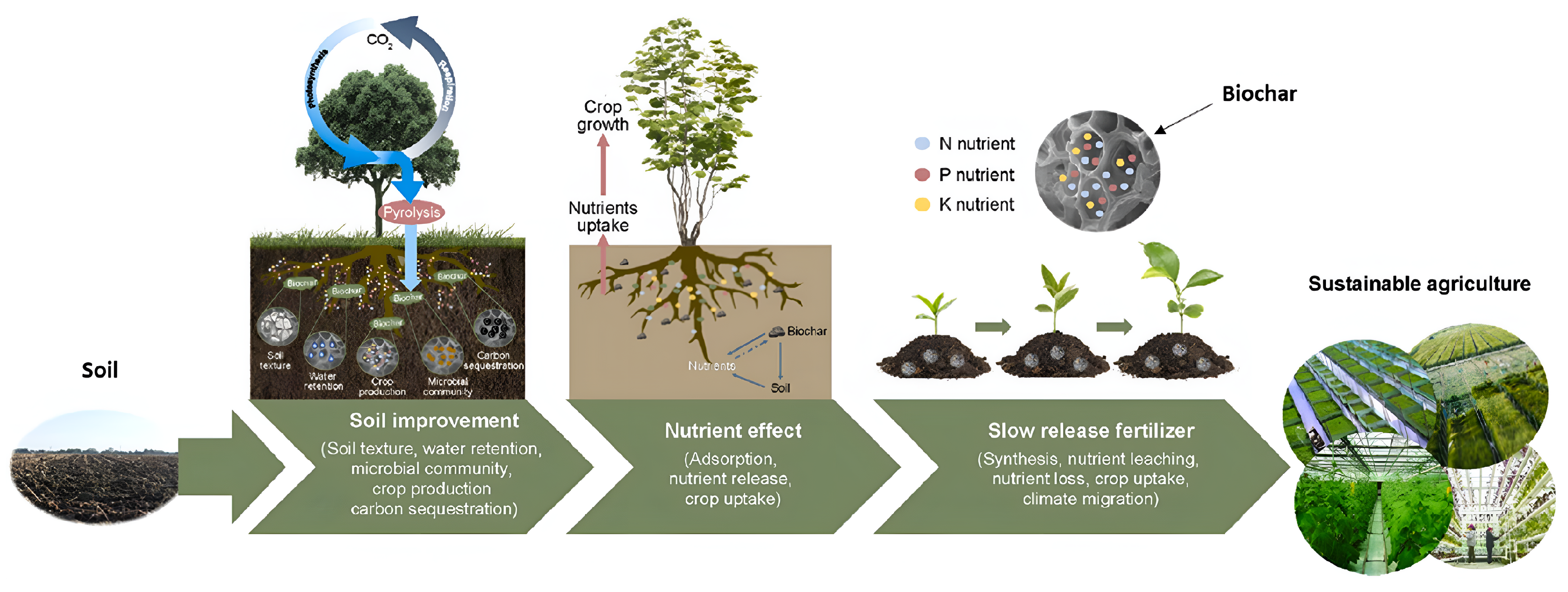 Encyclopedia 05 00067 g005