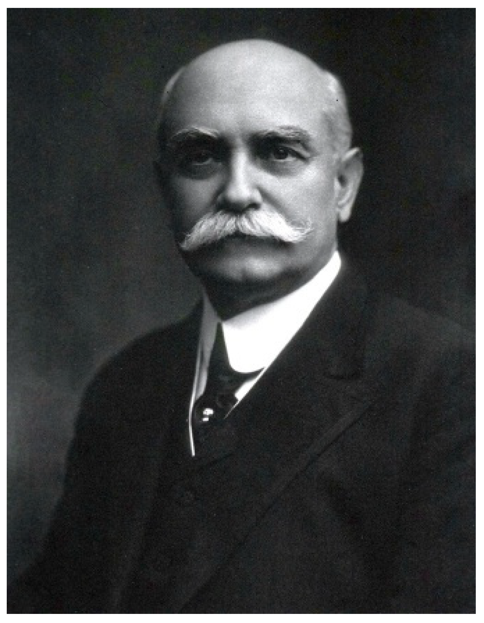 Encyclopedia 05 00125 g013 Encyclopedia 05 00125 g013