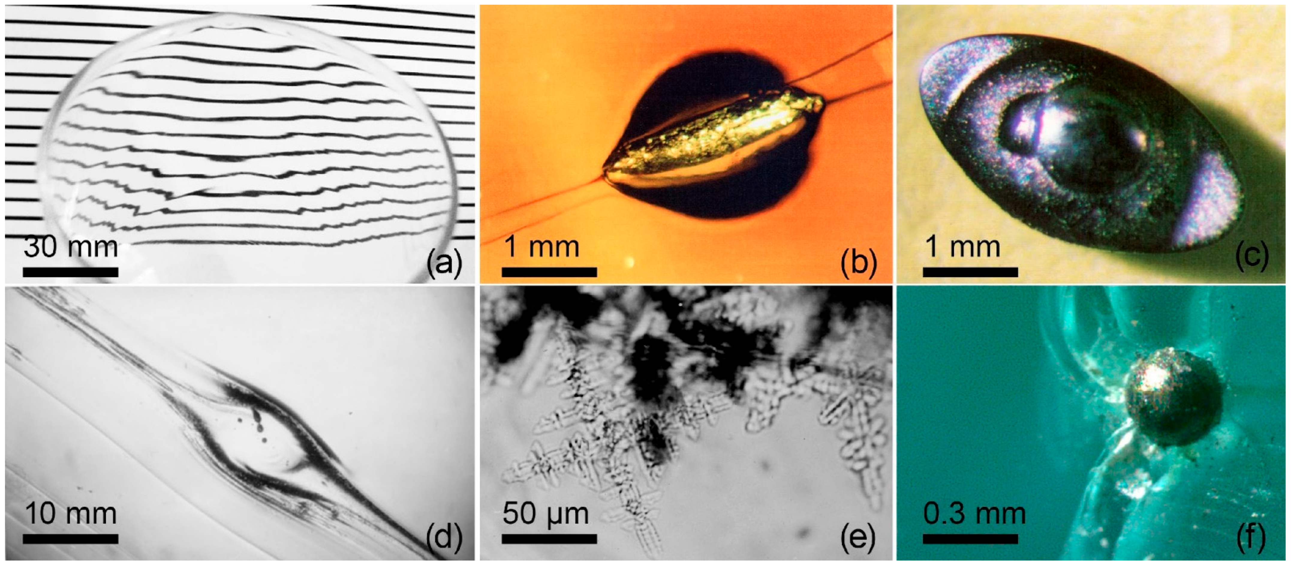 Encyclopedia 05 00136 g001