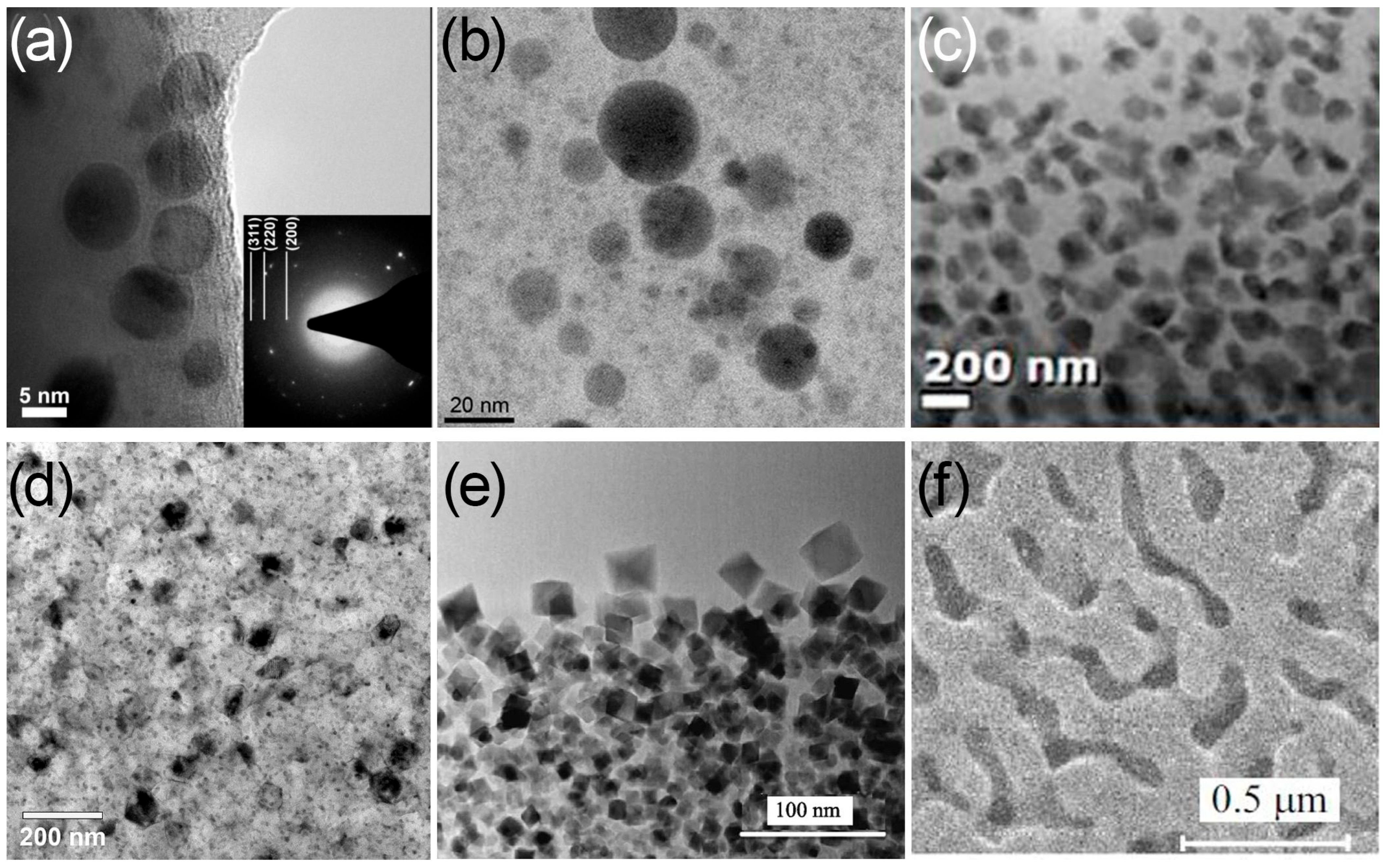 Encyclopedia 05 00136 g002