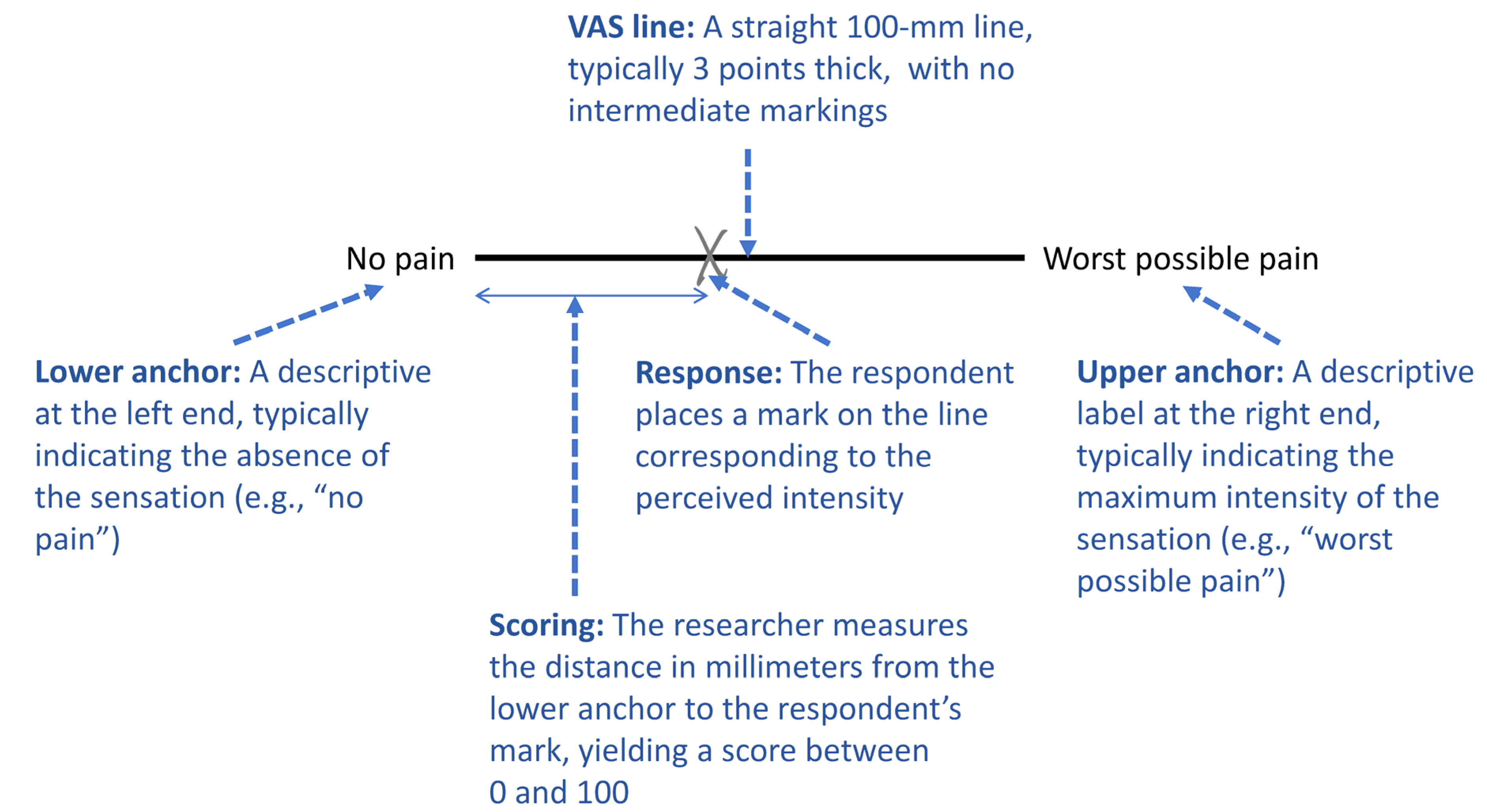Visual Analogue Scale | MDPI