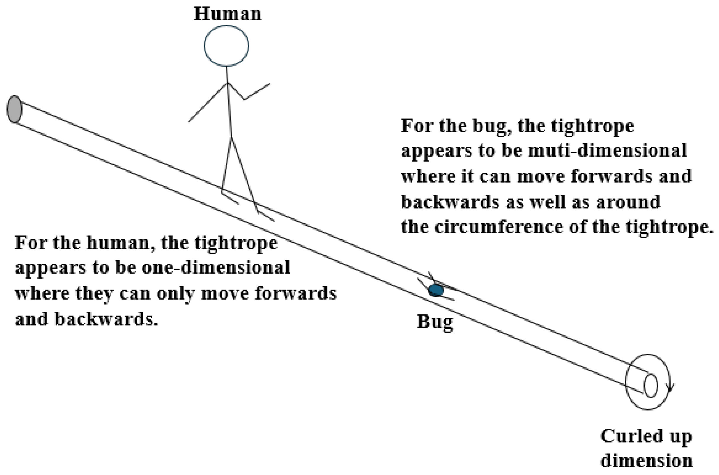 Encyclopedia 06 00059 g001 Encyclopedia 06 00059 g001