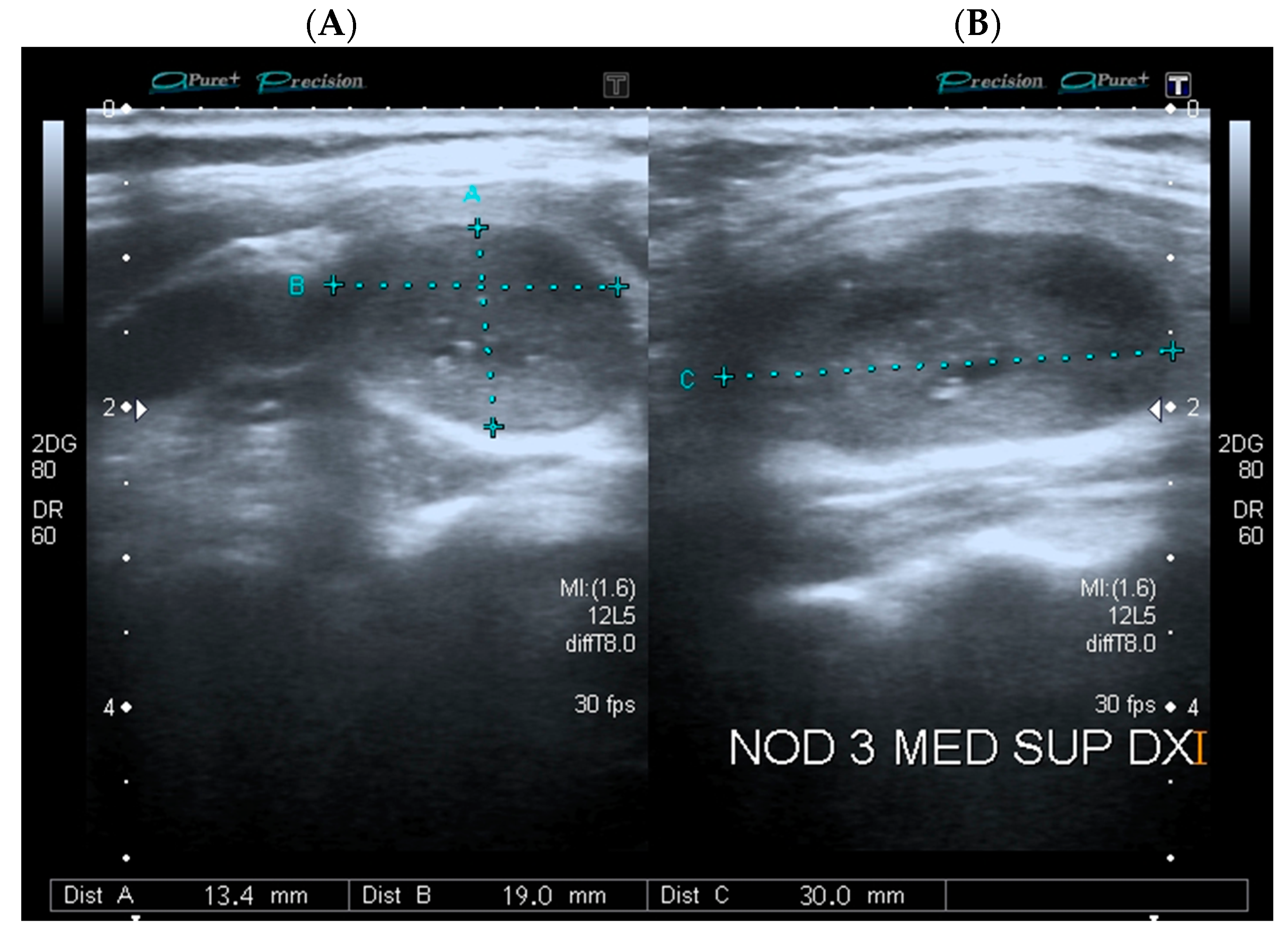 Endocrines 01 00010 g001