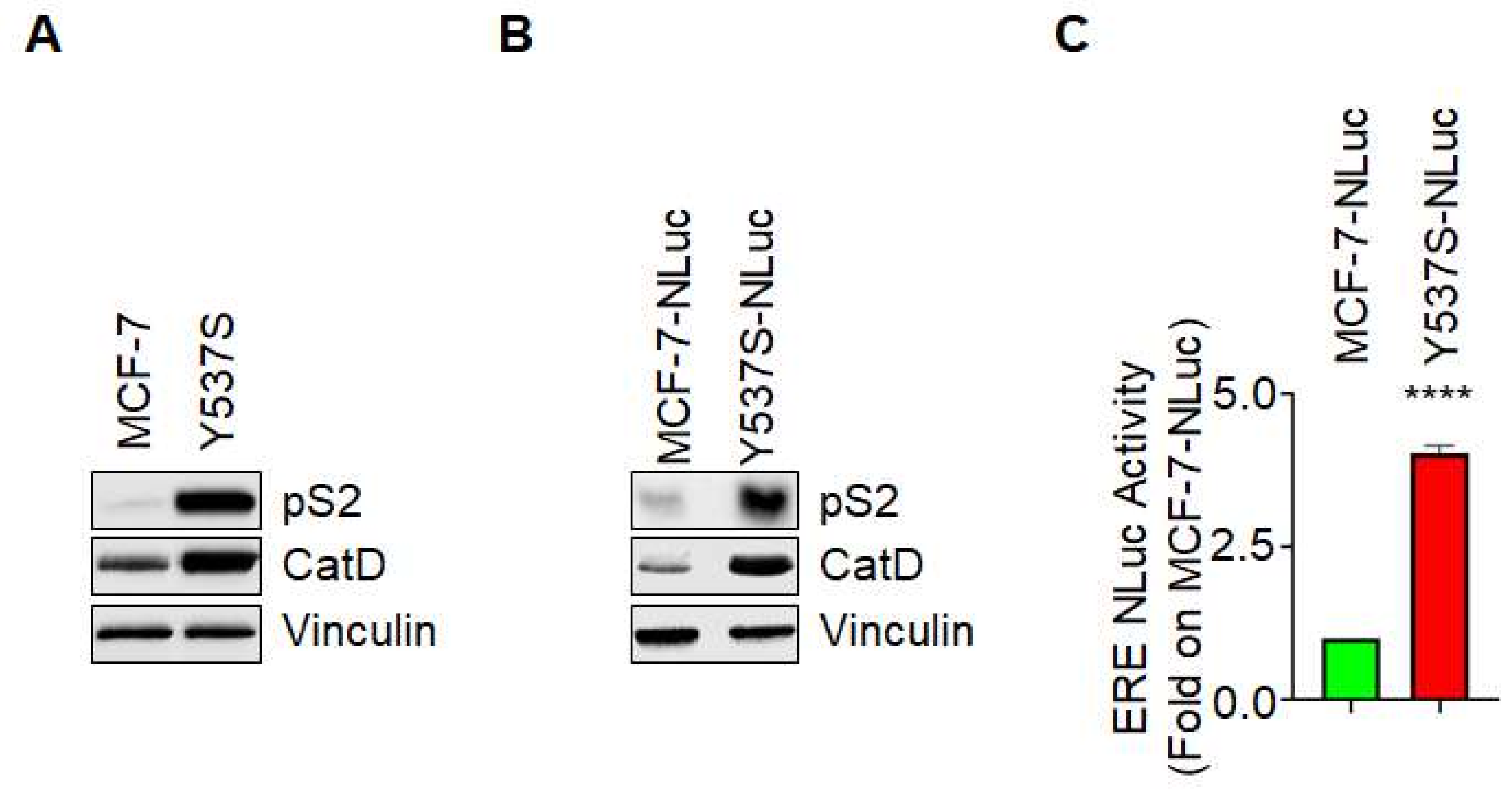 Endocrines 02 00006 g001
