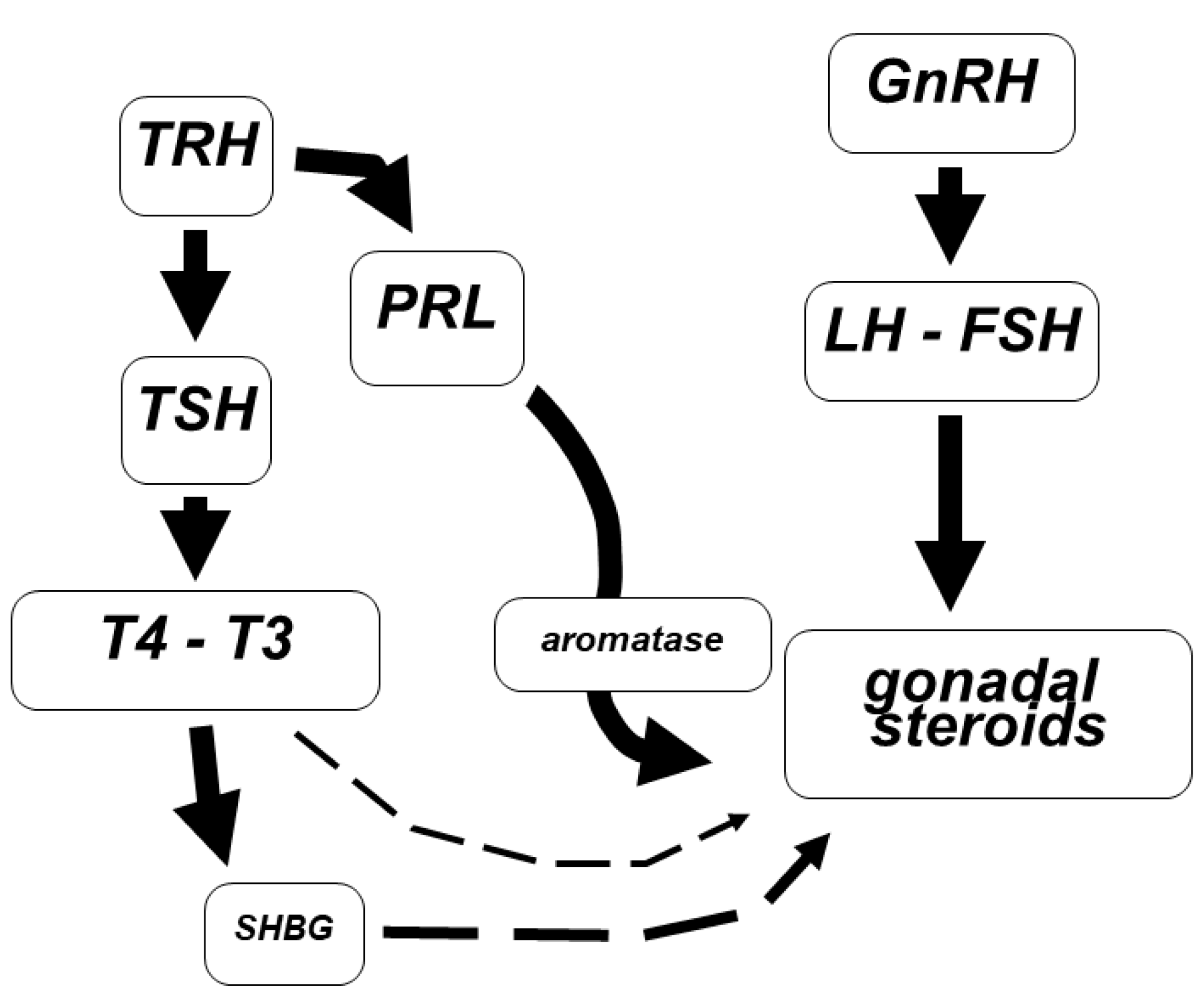 Endocrines 02 00021 g002