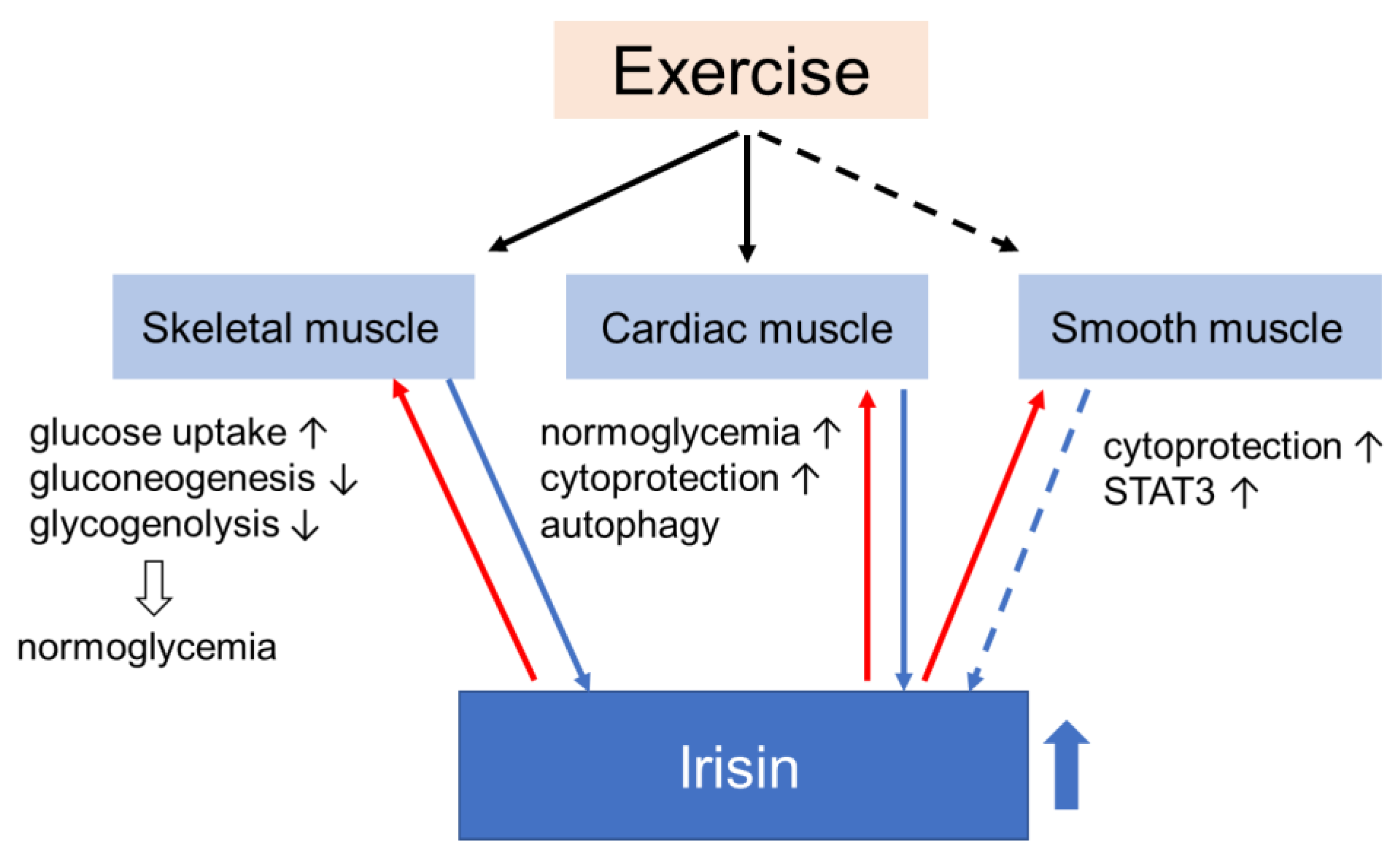 Endocrines 02 00025 g003