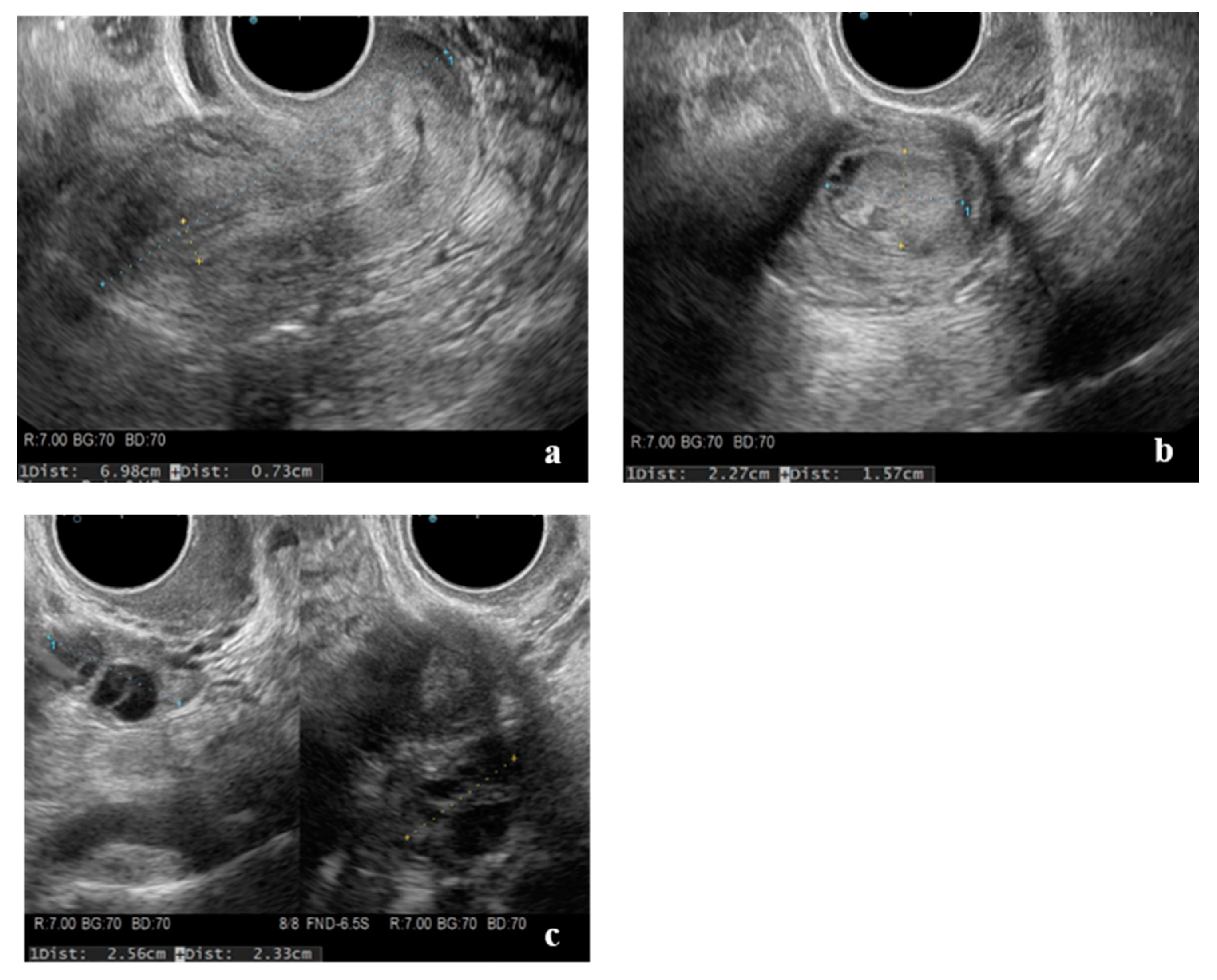 Endocrines 02 00026 g001