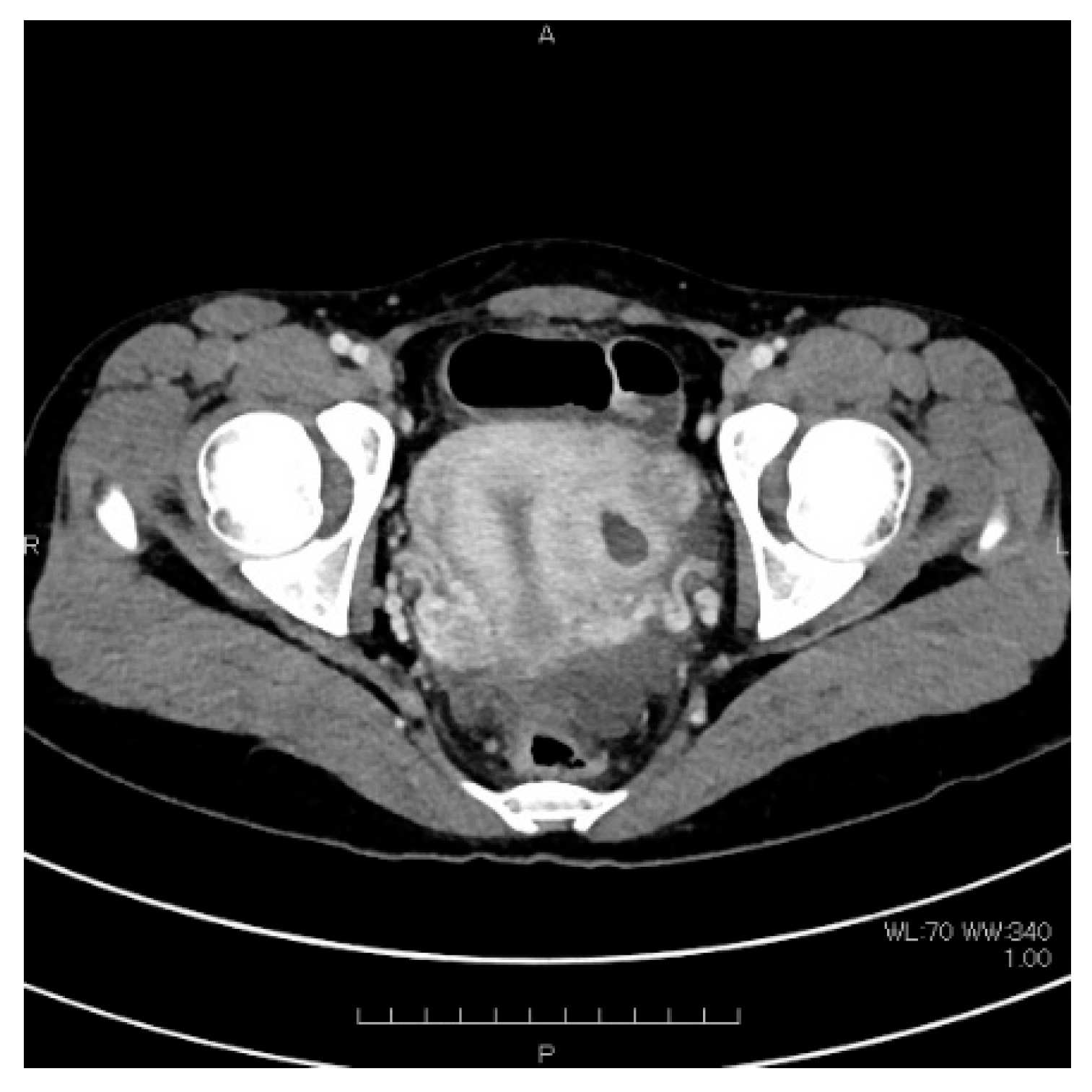 Endocrines 02 00026 g002