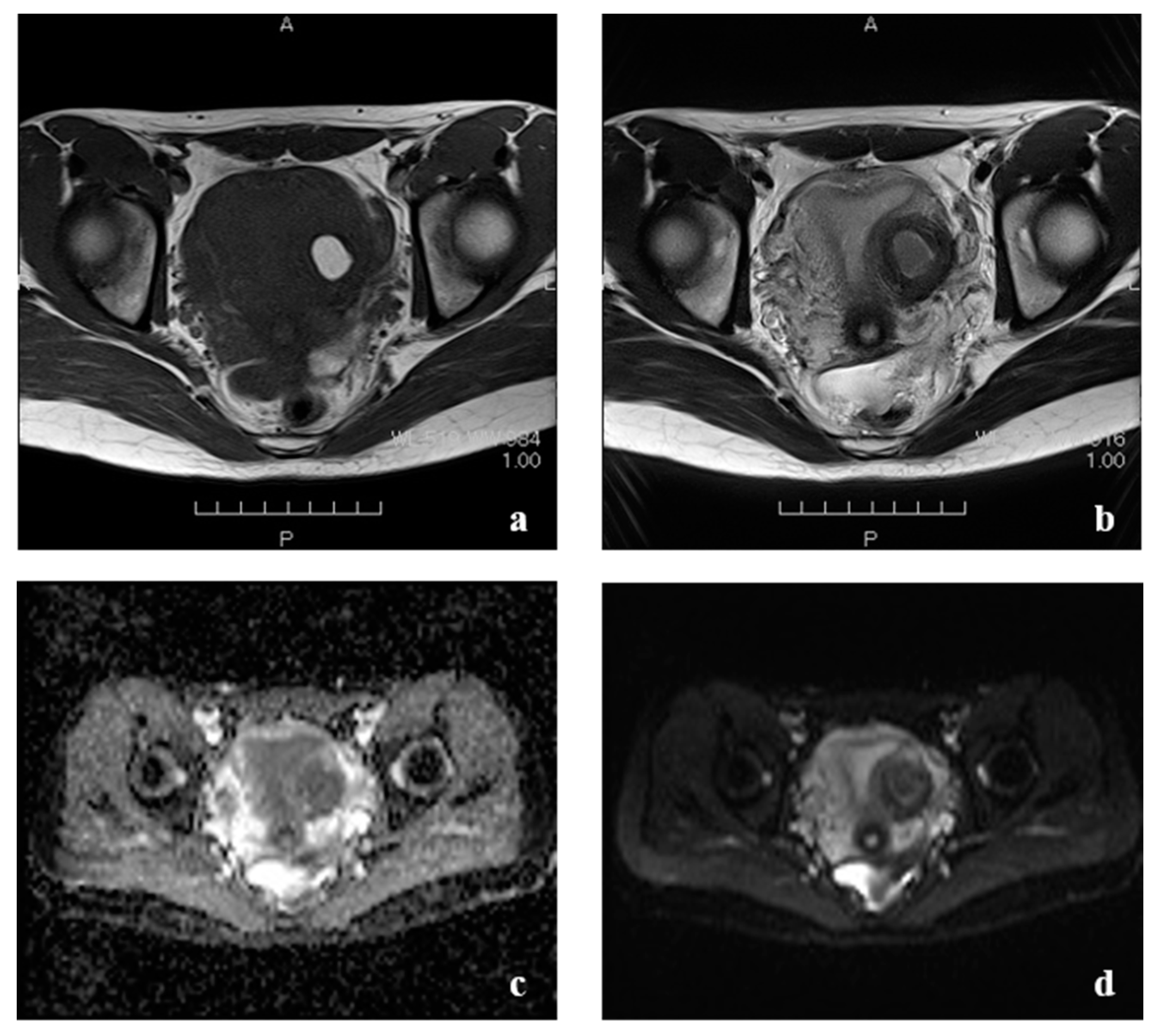 Endocrines 02 00026 g003