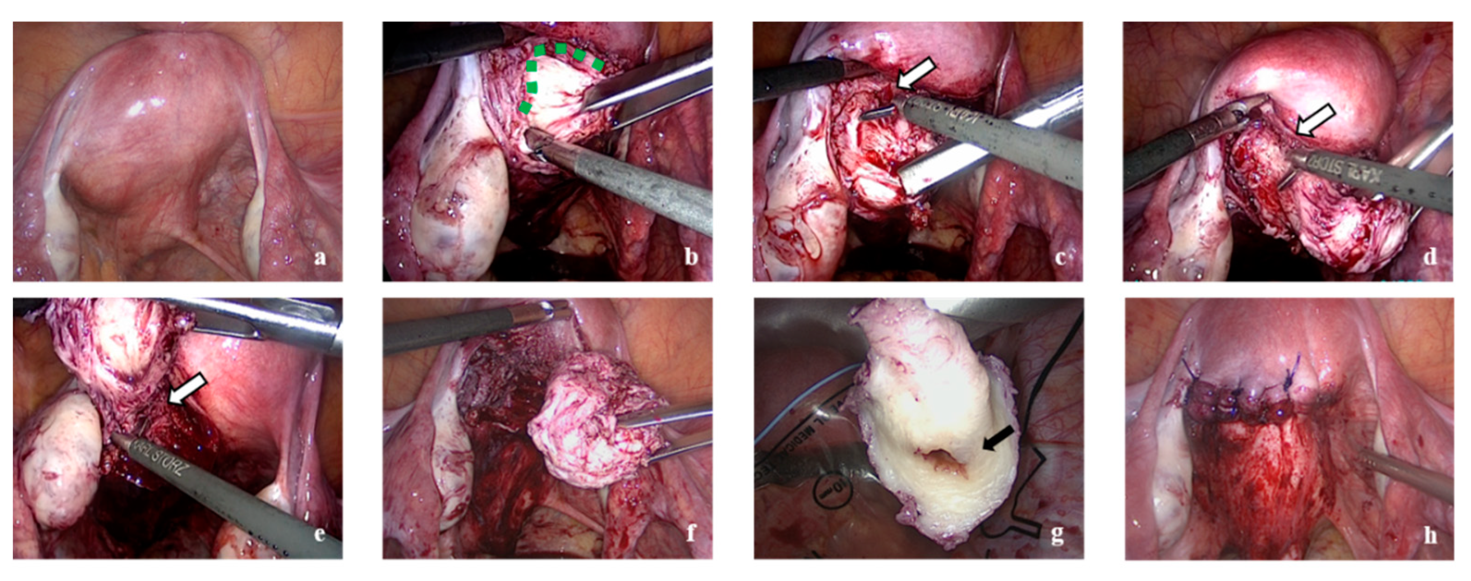 Endocrines 02 00026 g004