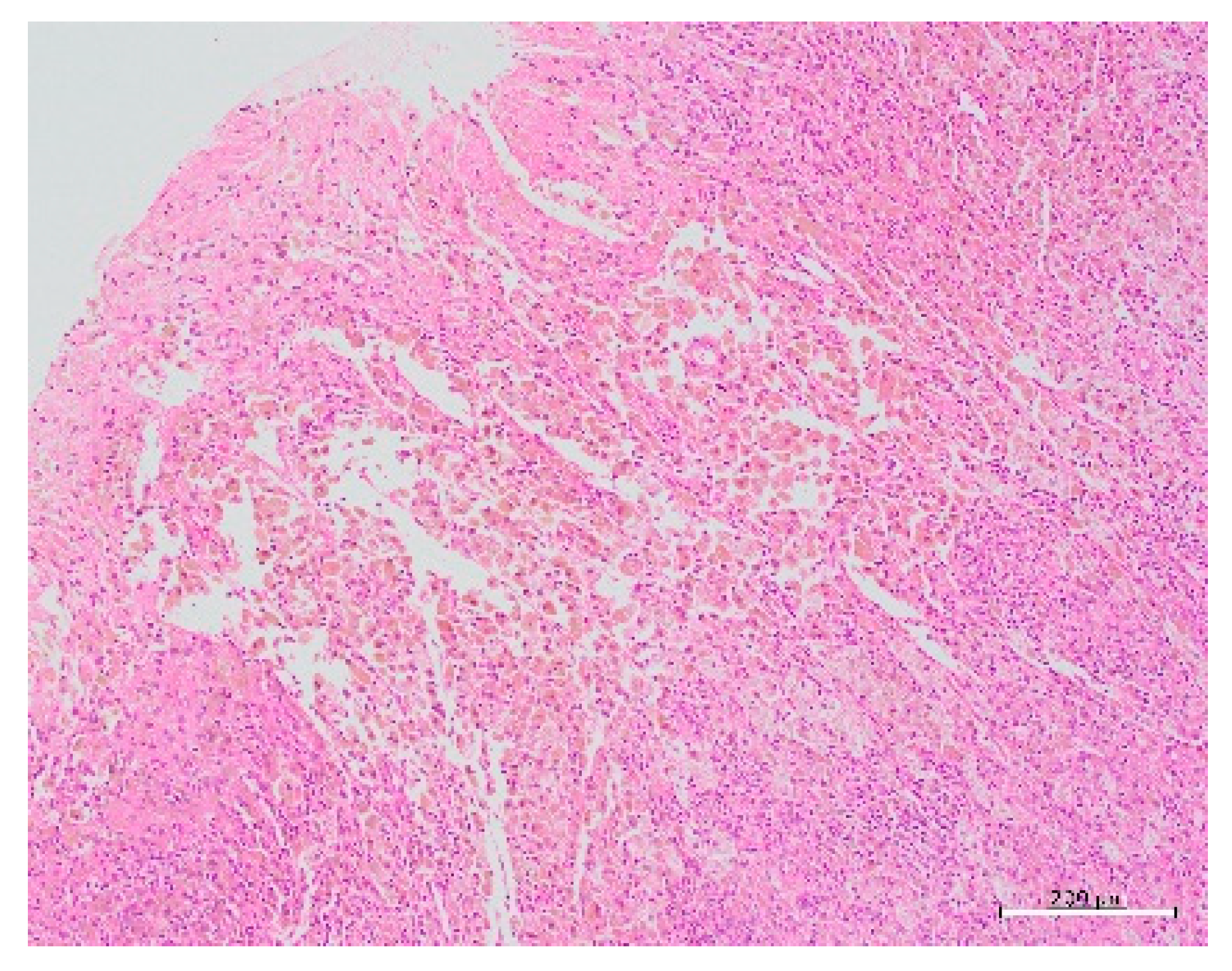 Endocrines 02 00026 g005