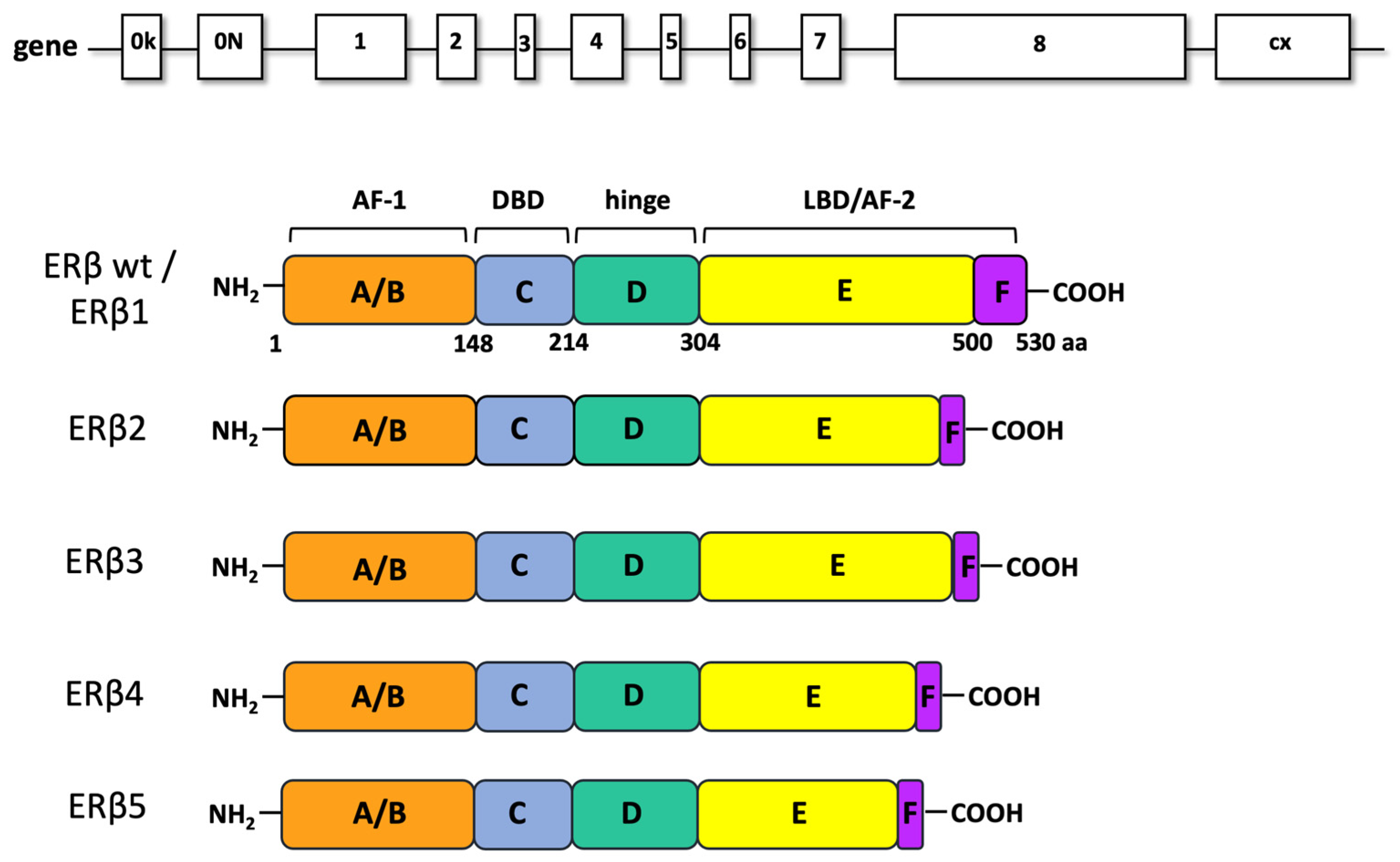 Endocrines 02 00033 g001