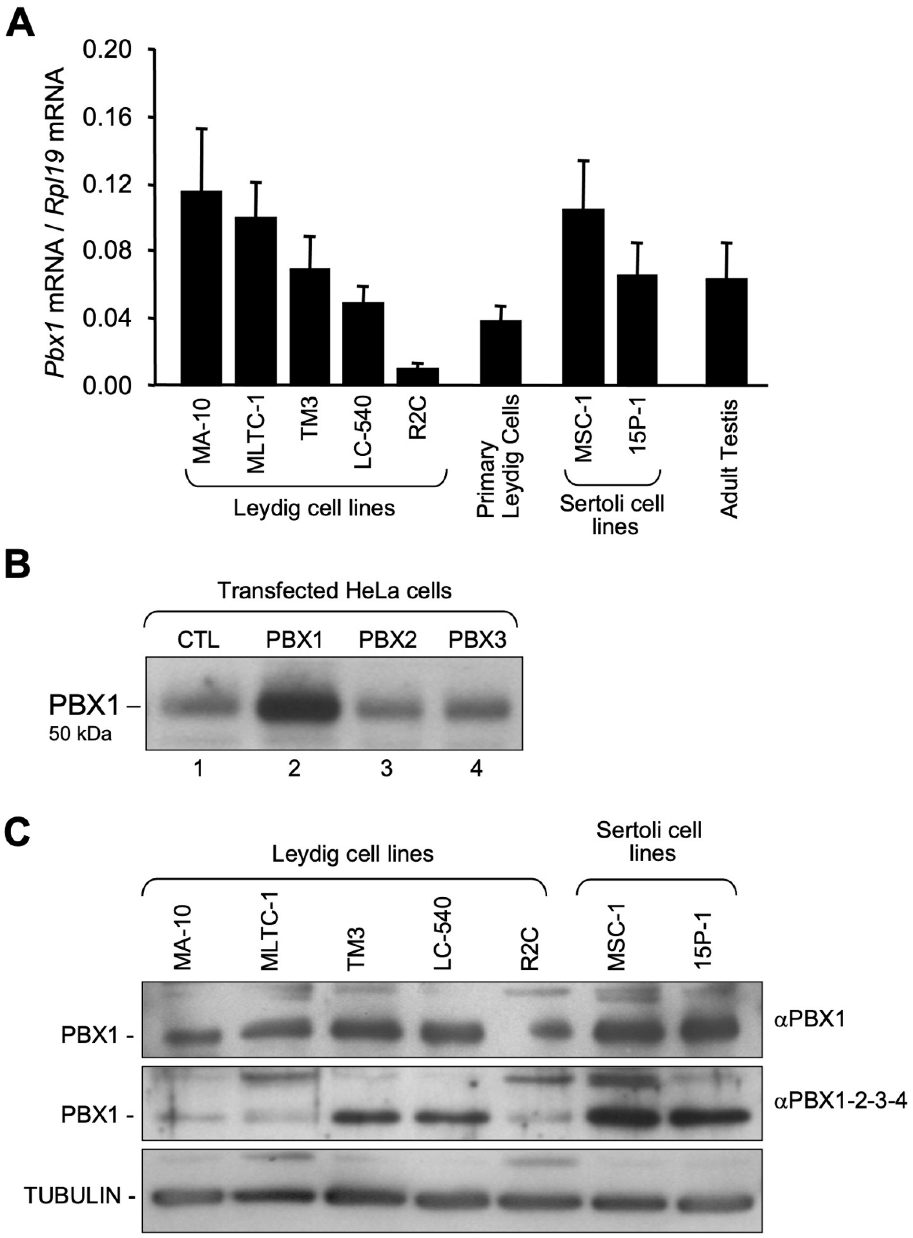 Endocrines 03 00002 g001