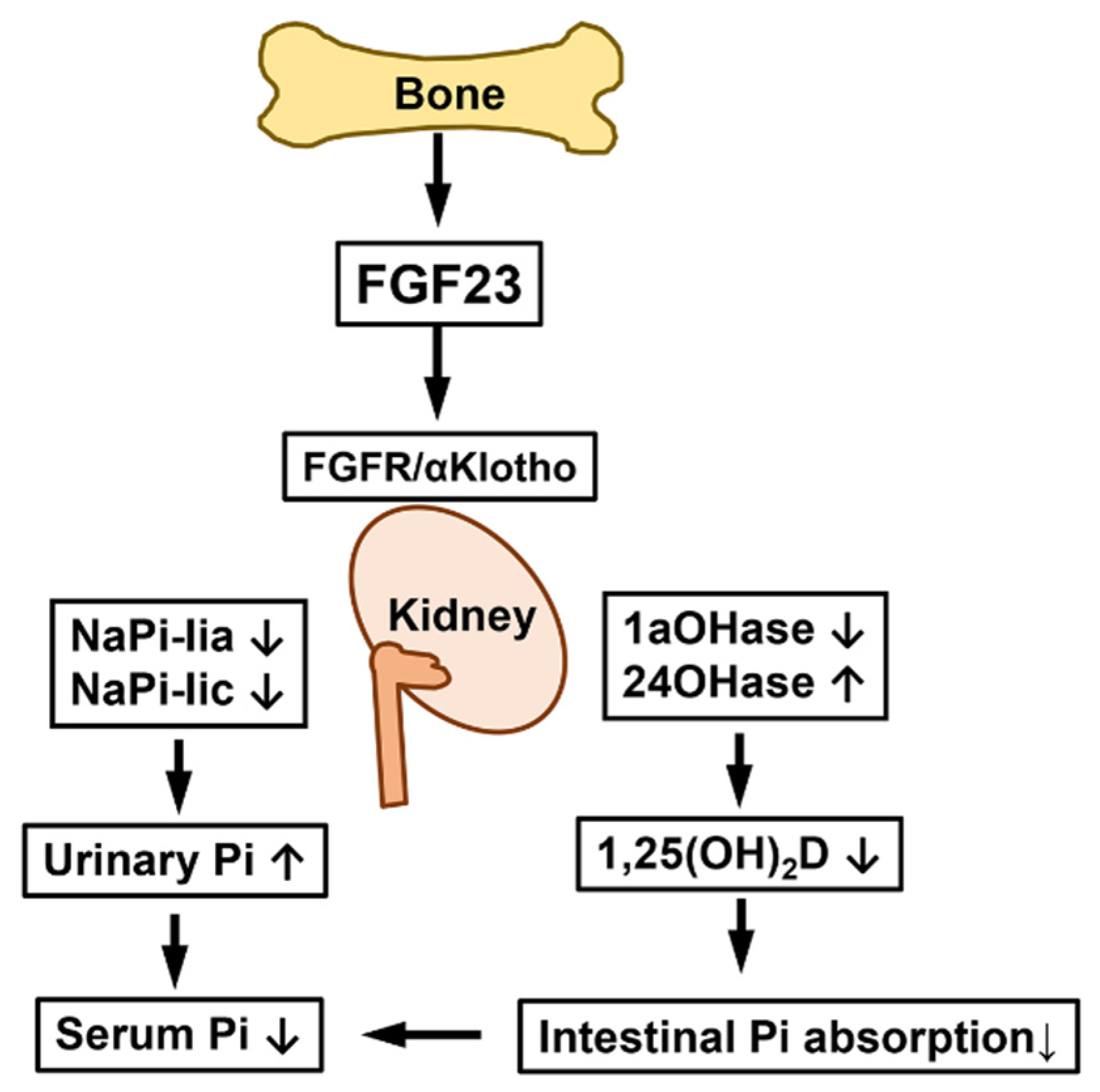 Endocrines 03 00025 g001 Endocrines 03 00025 g001