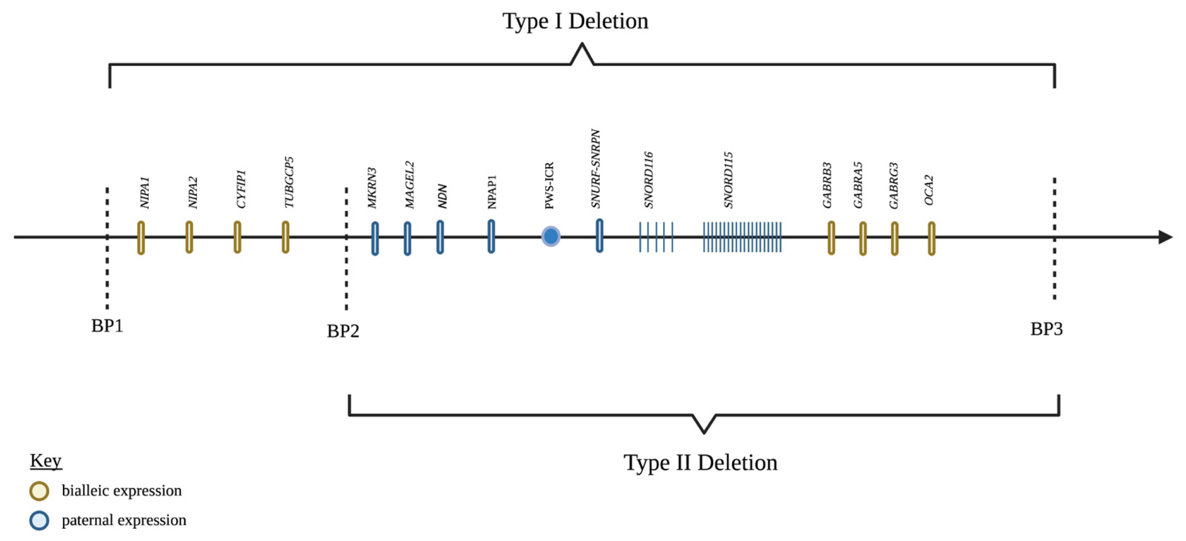 Endocrines 03 00027 g001