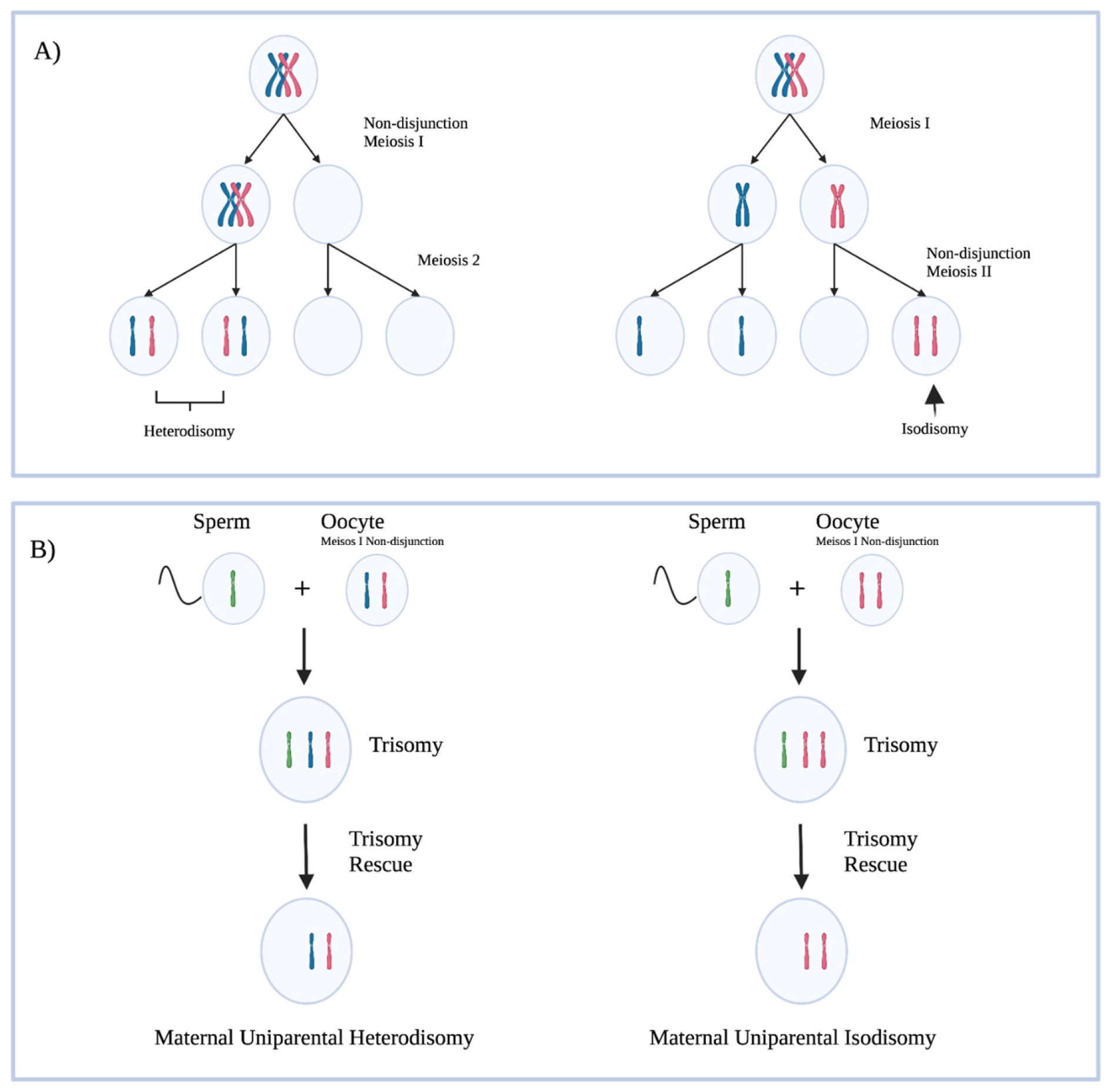 Endocrines 03 00027 g002