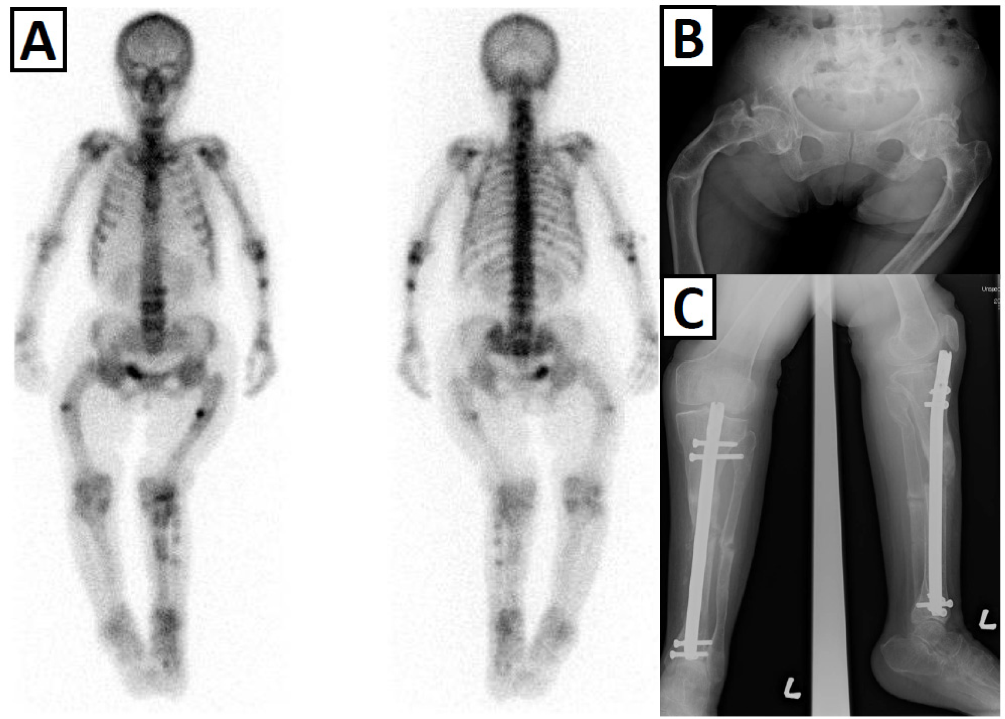Endocrines 03 00047 g002