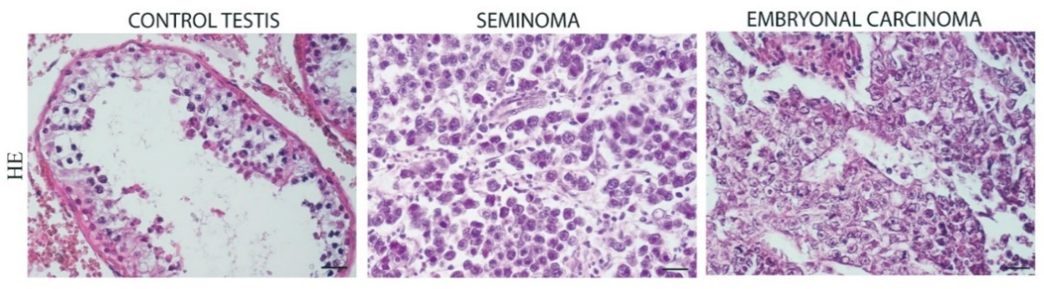 Endocrines 03 00049 g001 Endocrines 03 00049 g001