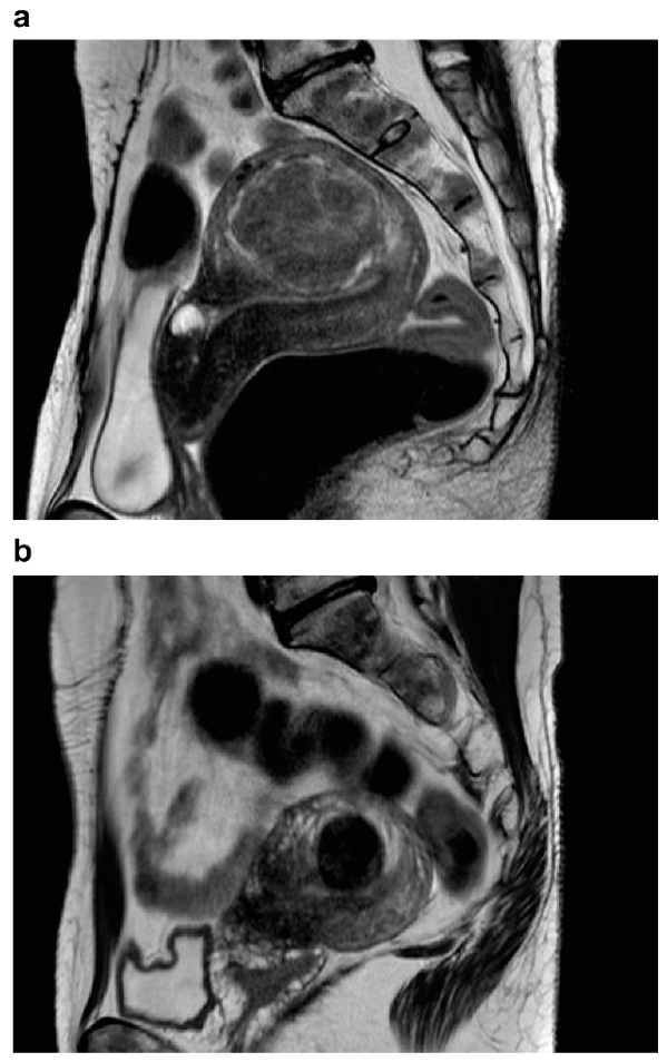 Endocrines 03 00054 g001