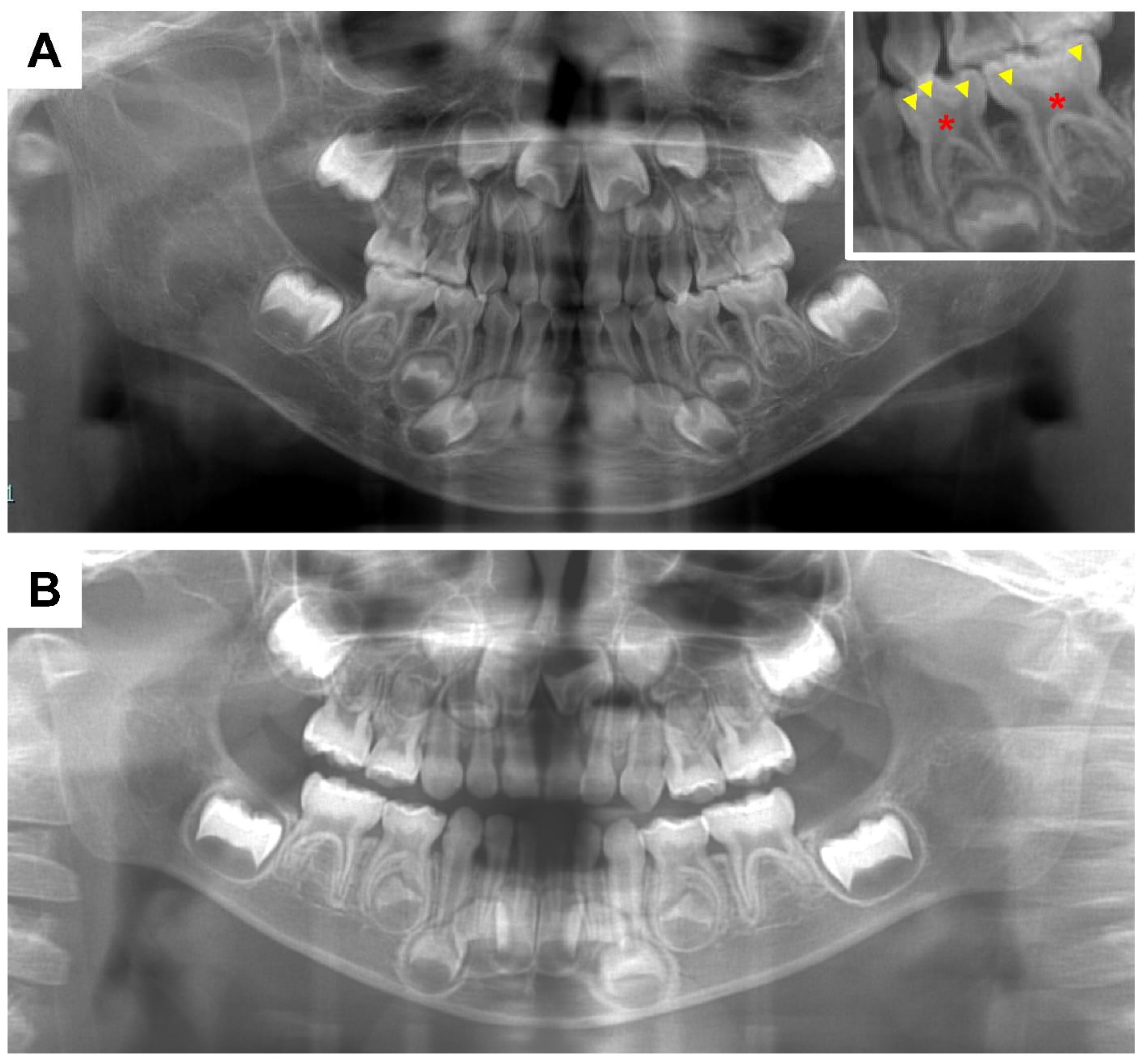 Endocrines 03 00056 g003