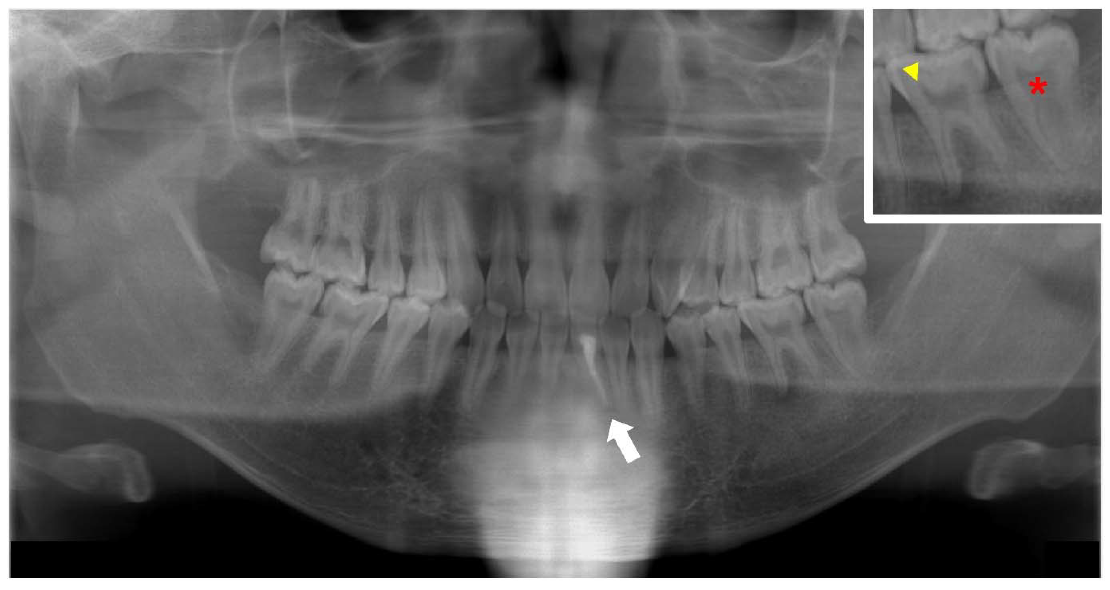 Endocrines 03 00056 g007