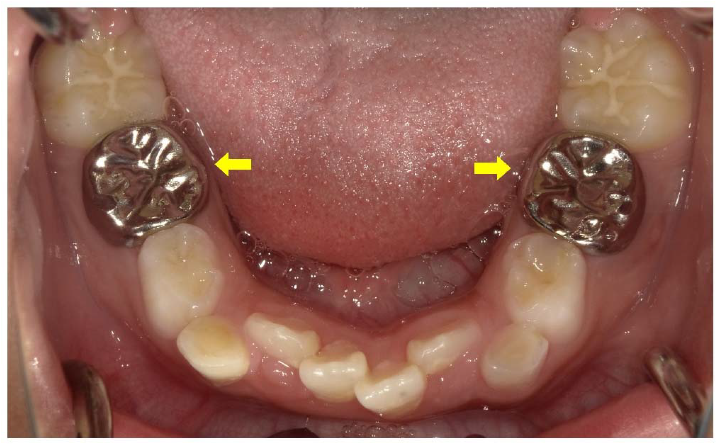 Endocrines 03 00056 g008