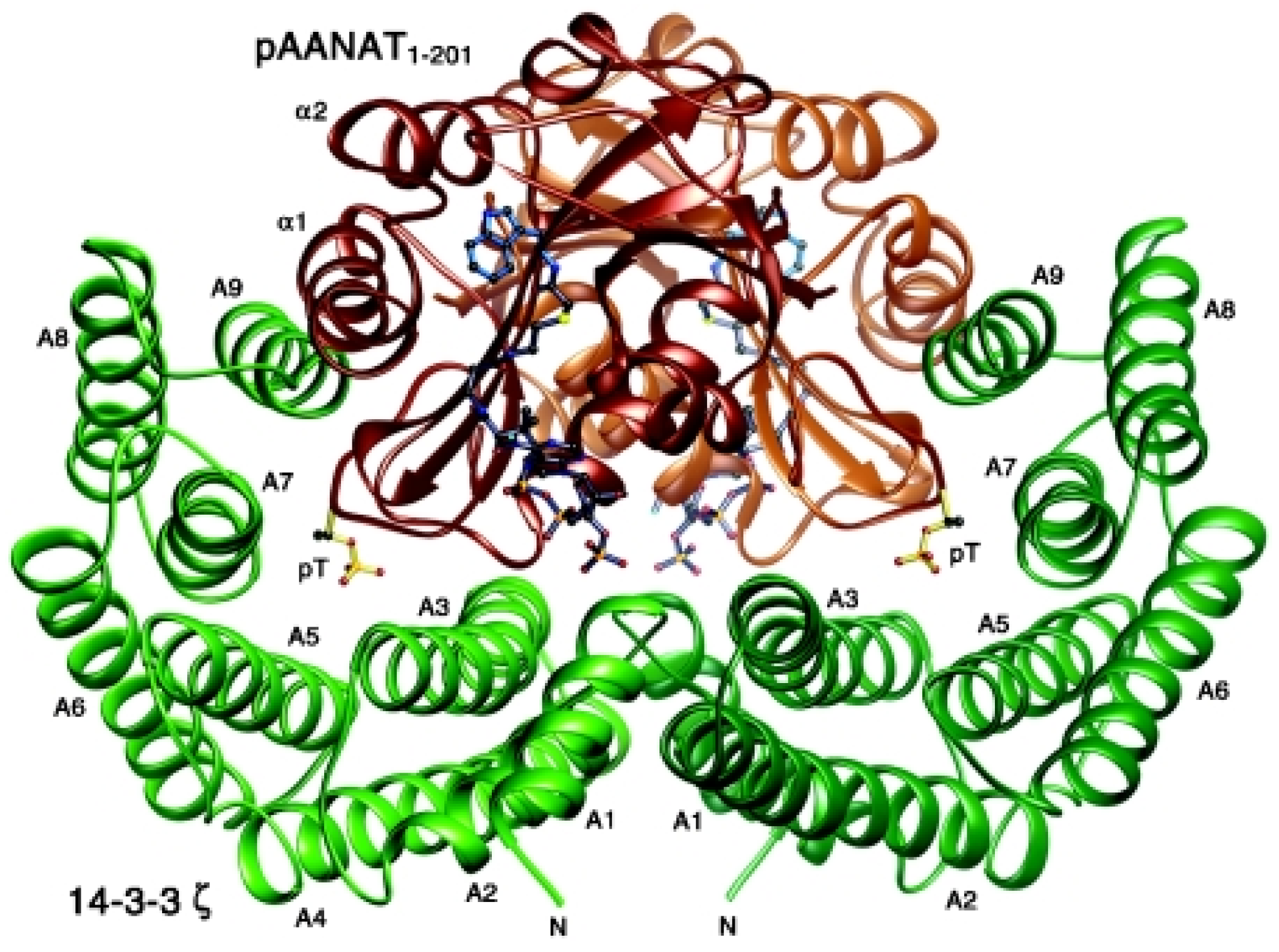 Endocrines 03 00057 g001