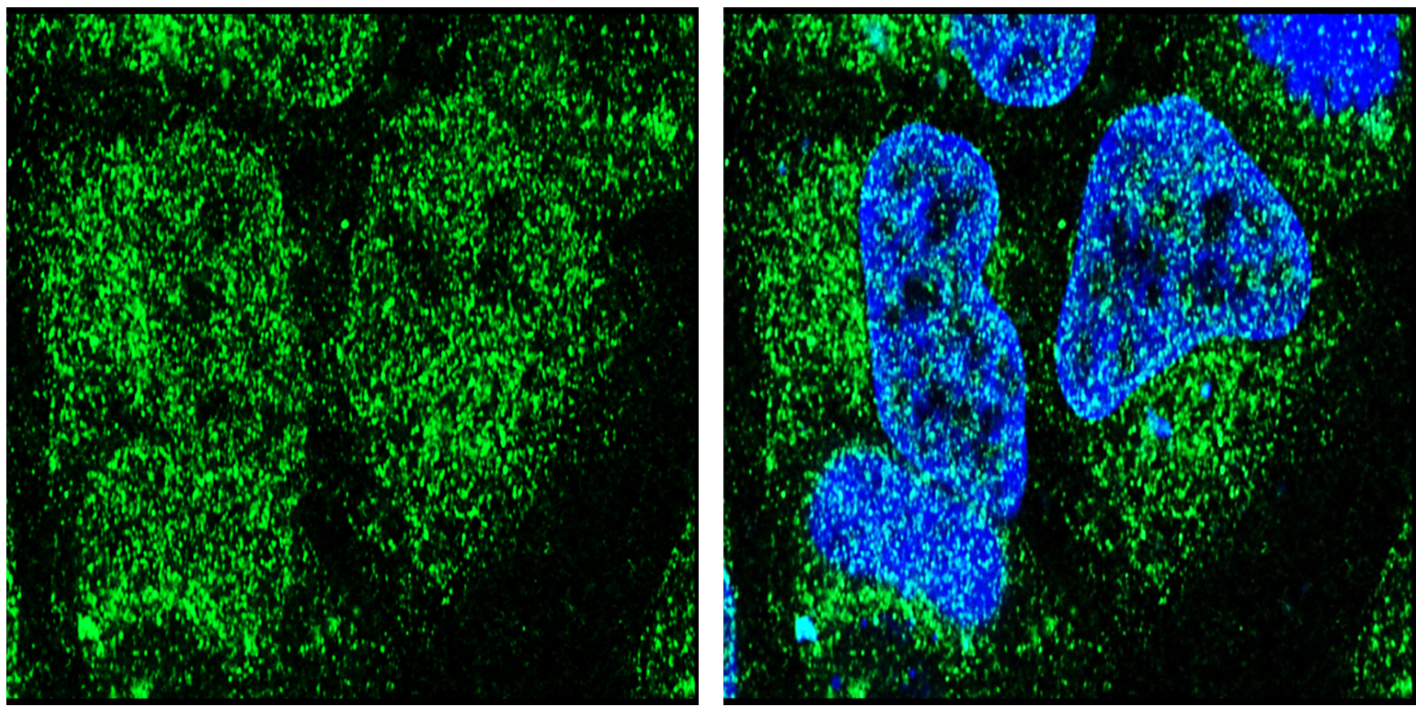 Endocrines 03 00057 g002