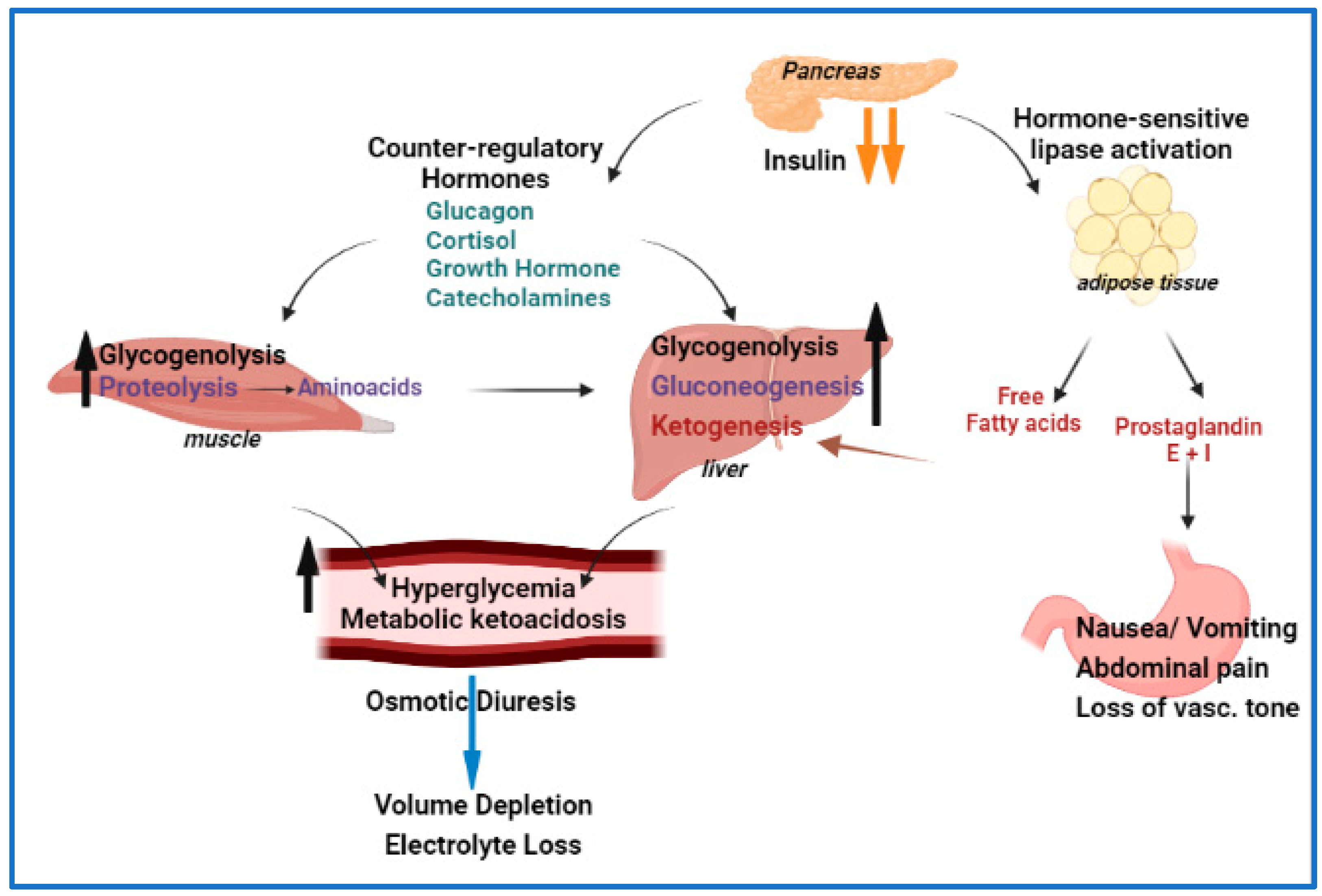Endocrines 03 00066 g001 Endocrines 03 00066 g001