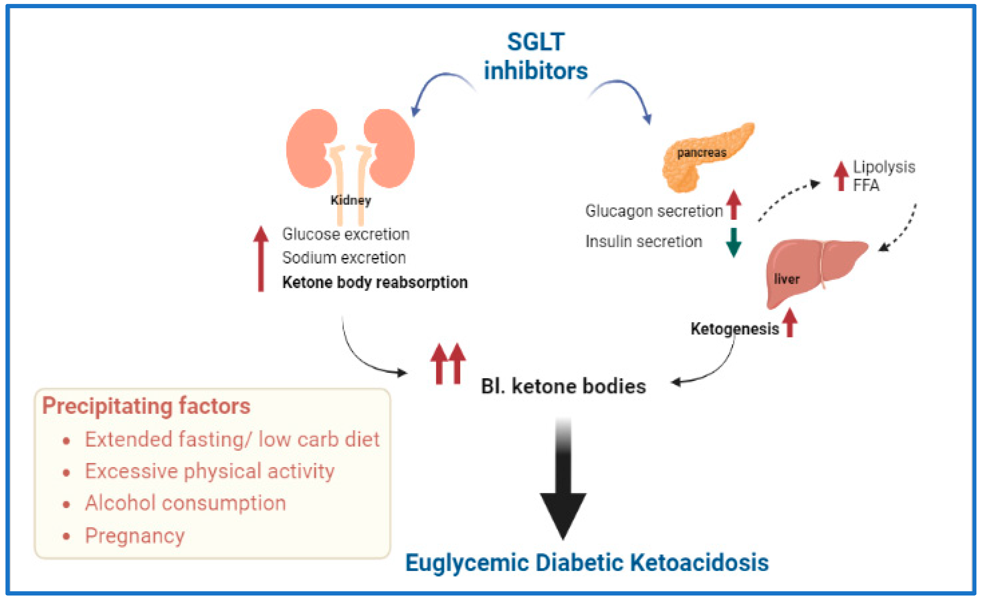 Endocrines 03 00066 g003 Endocrines 03 00066 g003