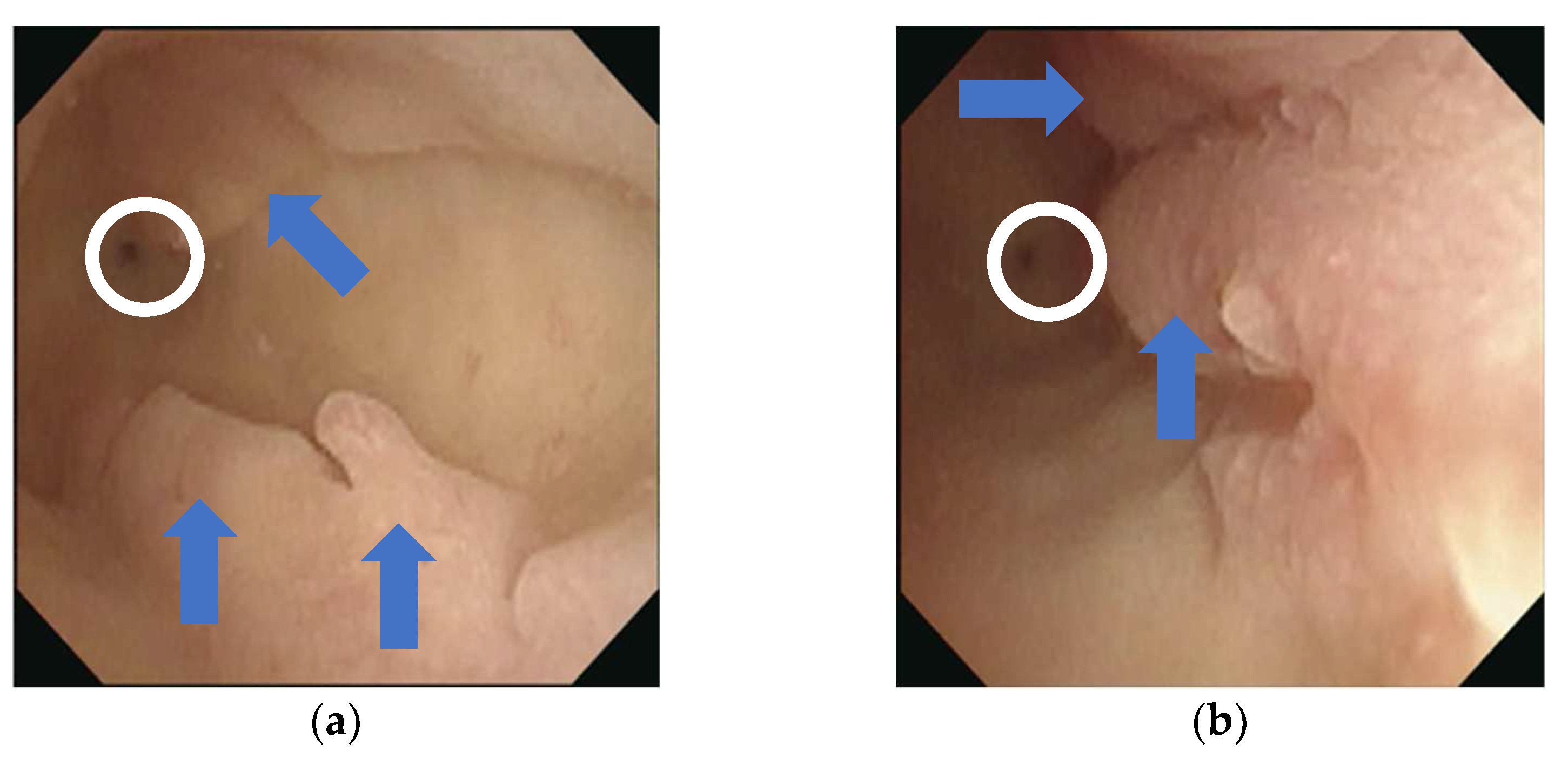 Endocrines 03 00068 g003