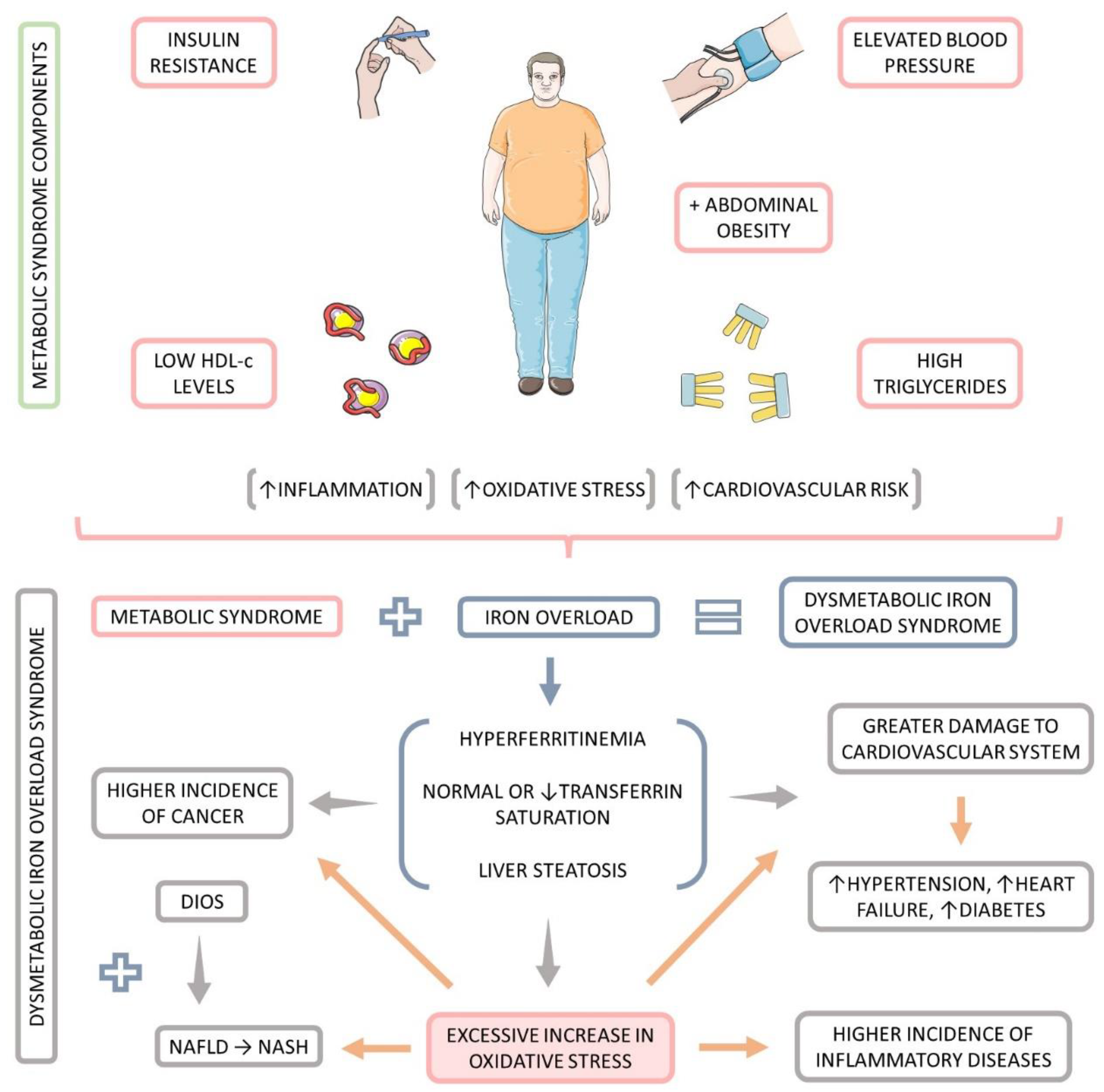 Endocrines 04 00002 g001