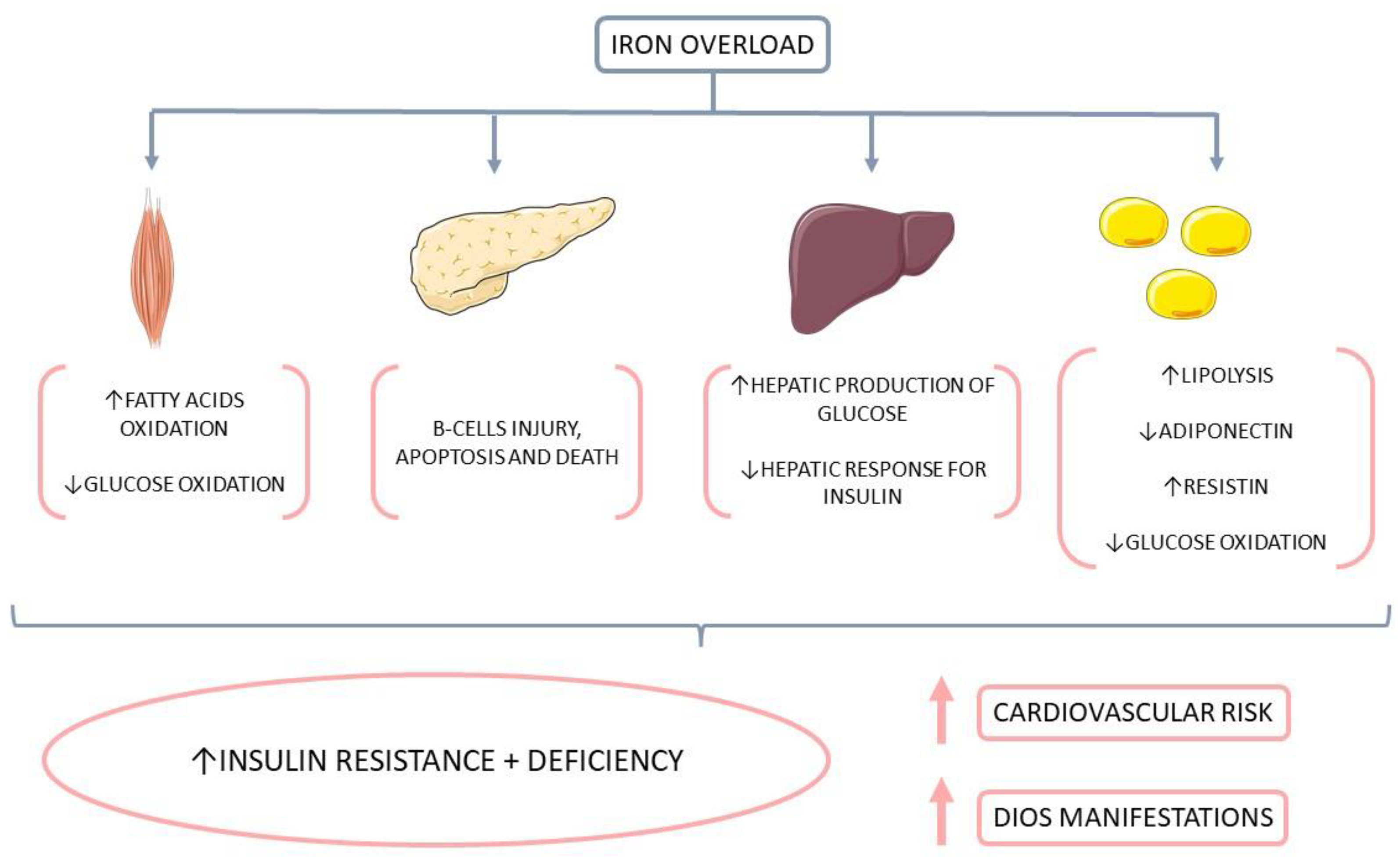 Endocrines 04 00002 g005