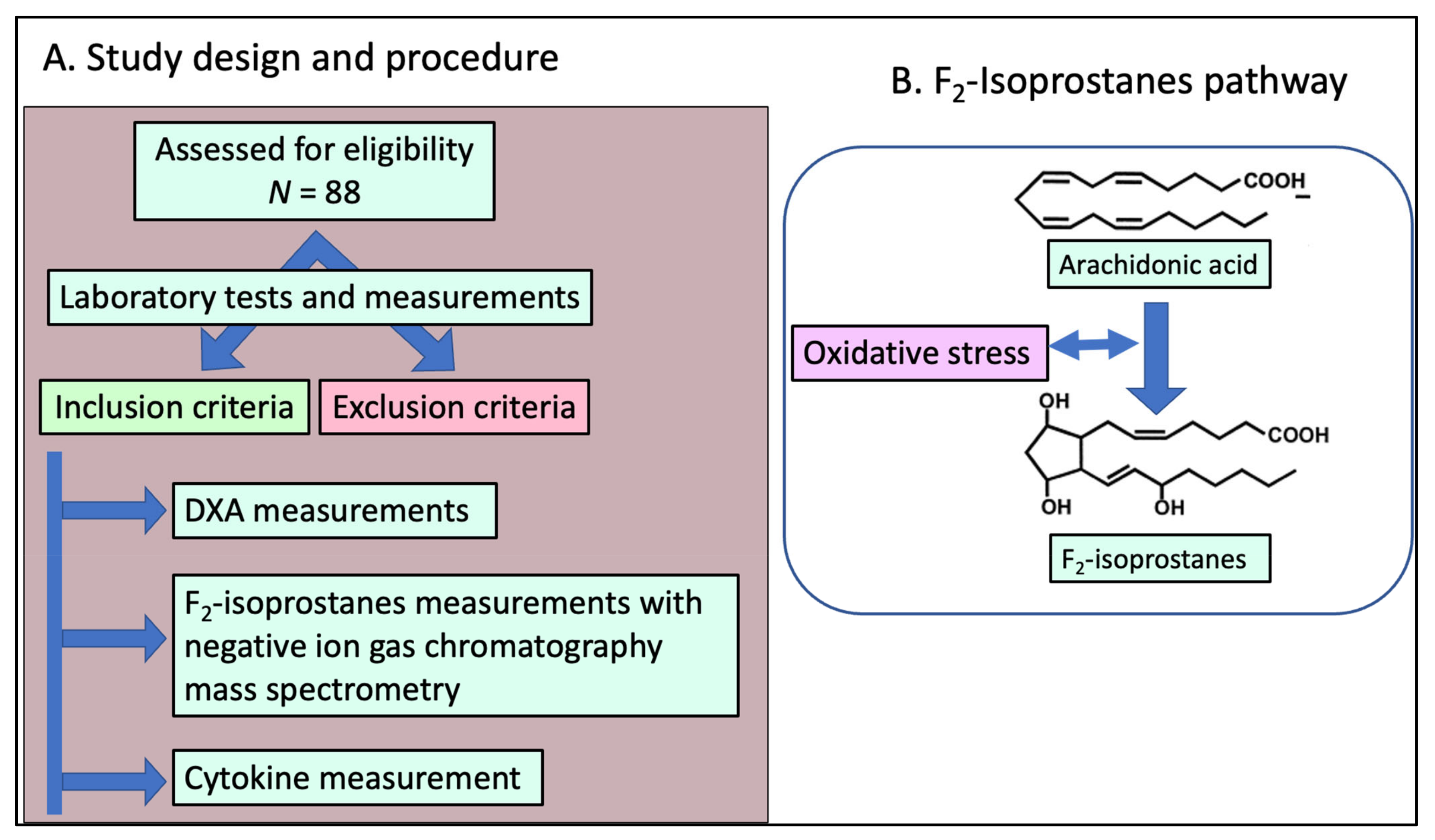 Endocrines 04 00003 g001