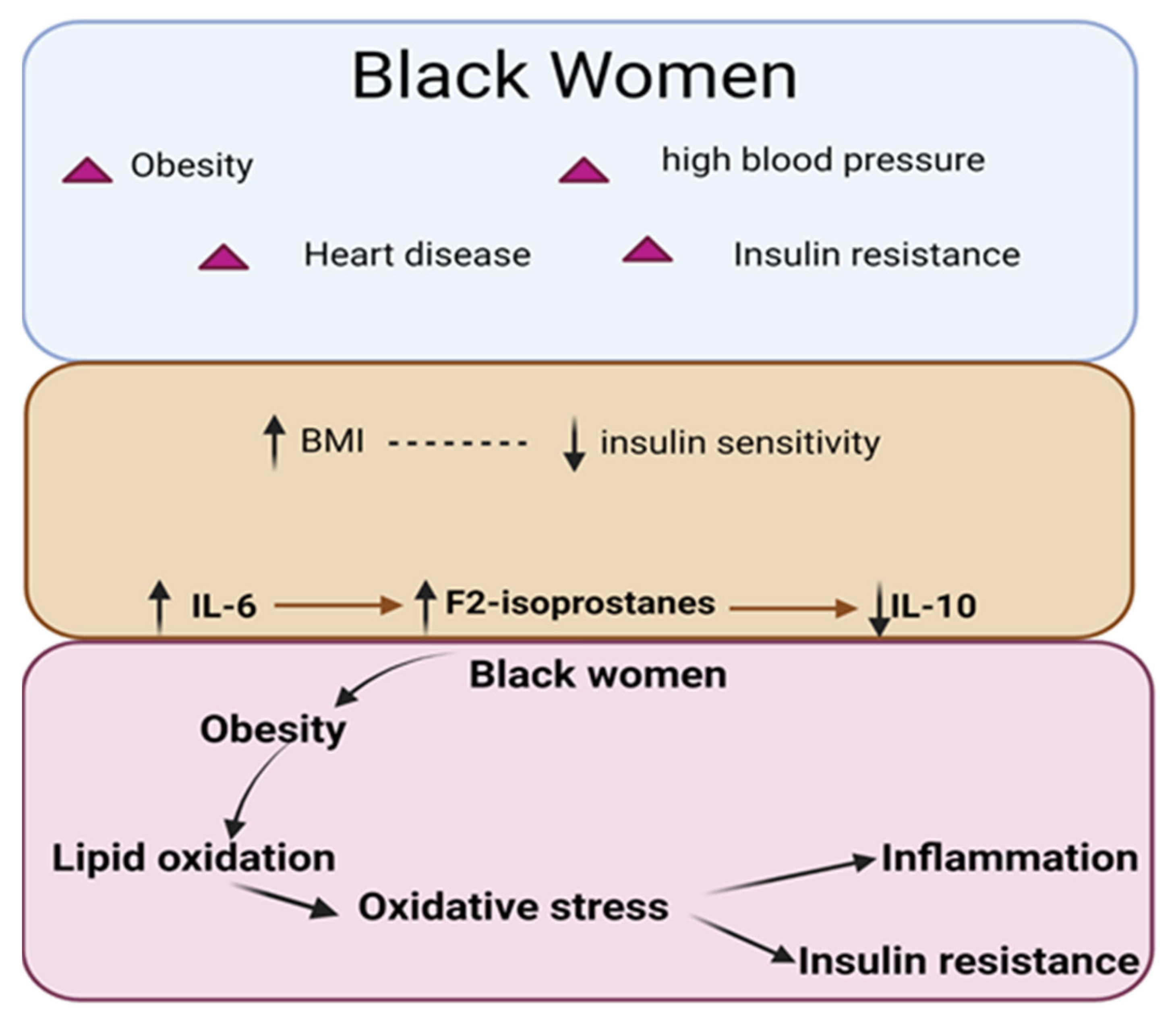 Endocrines 04 00003 g007