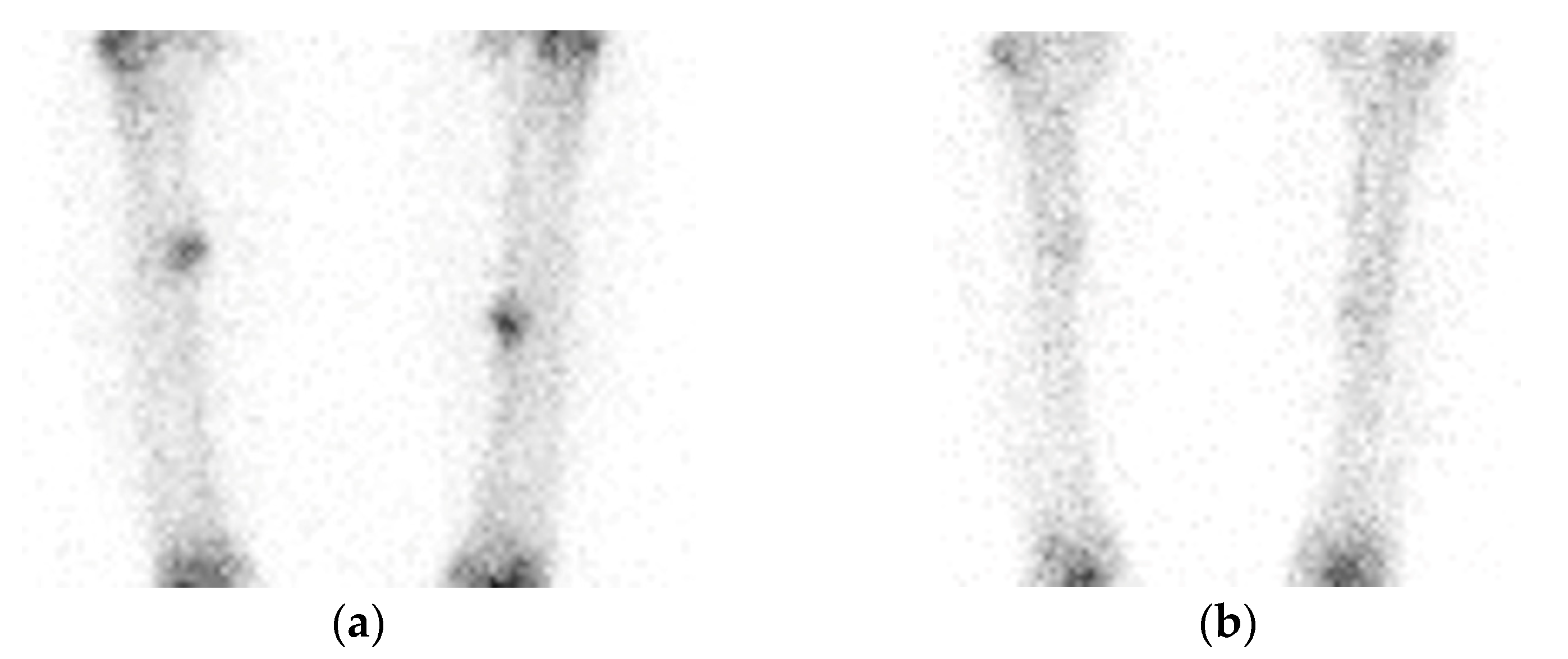 Endocrines 04 00010 g002