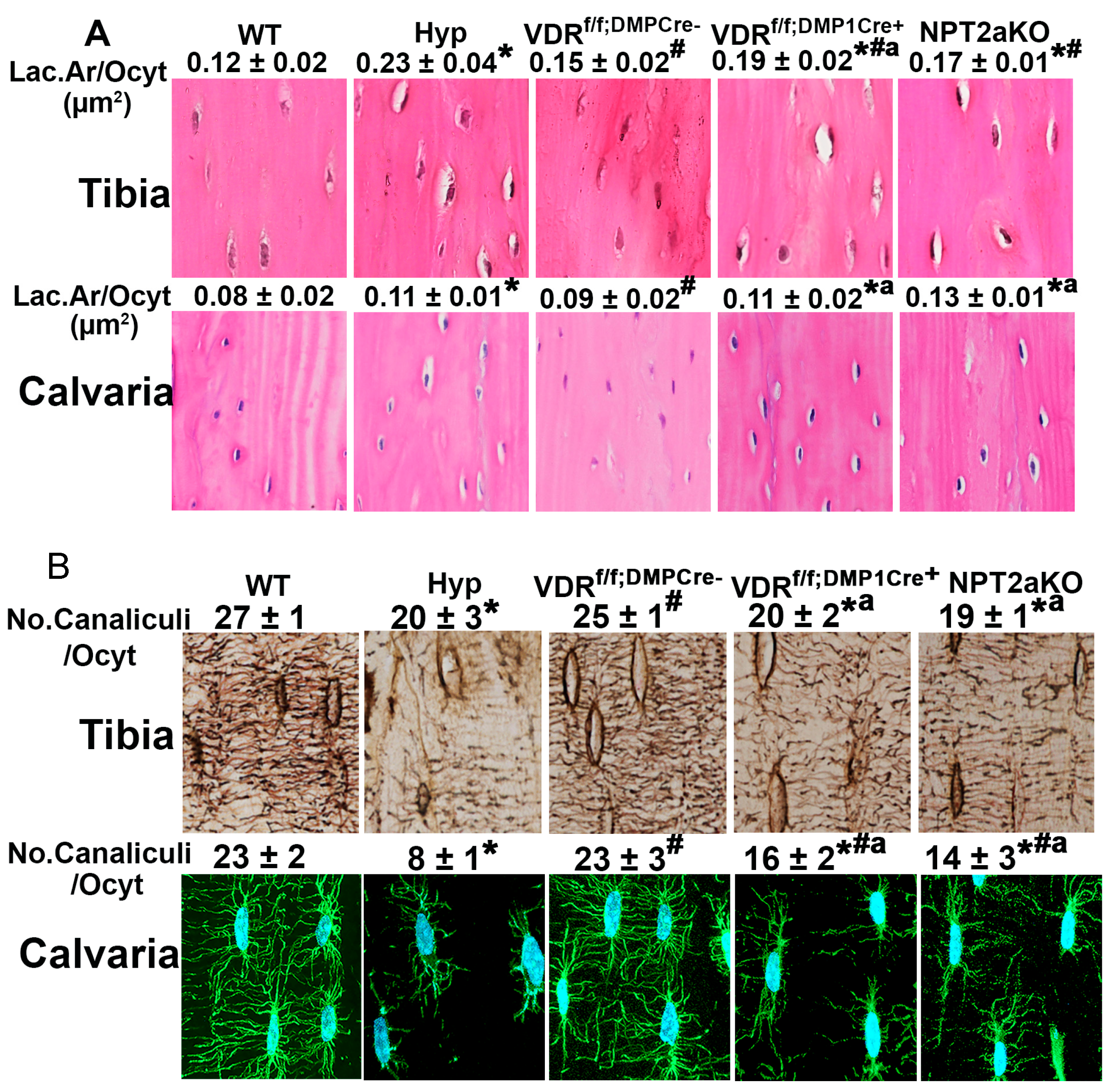 Endocrines 04 00014 g001 Endocrines 04 00014 g001